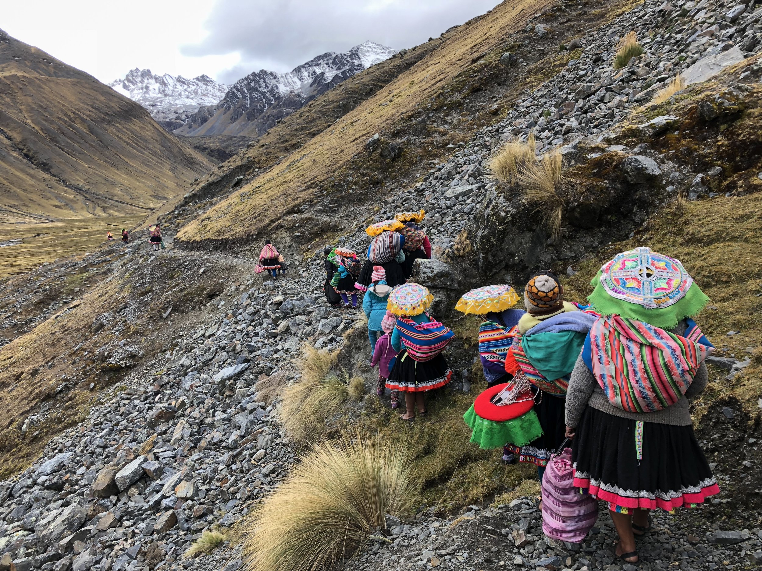 Each day the women travel by foot to care for the alpaca.