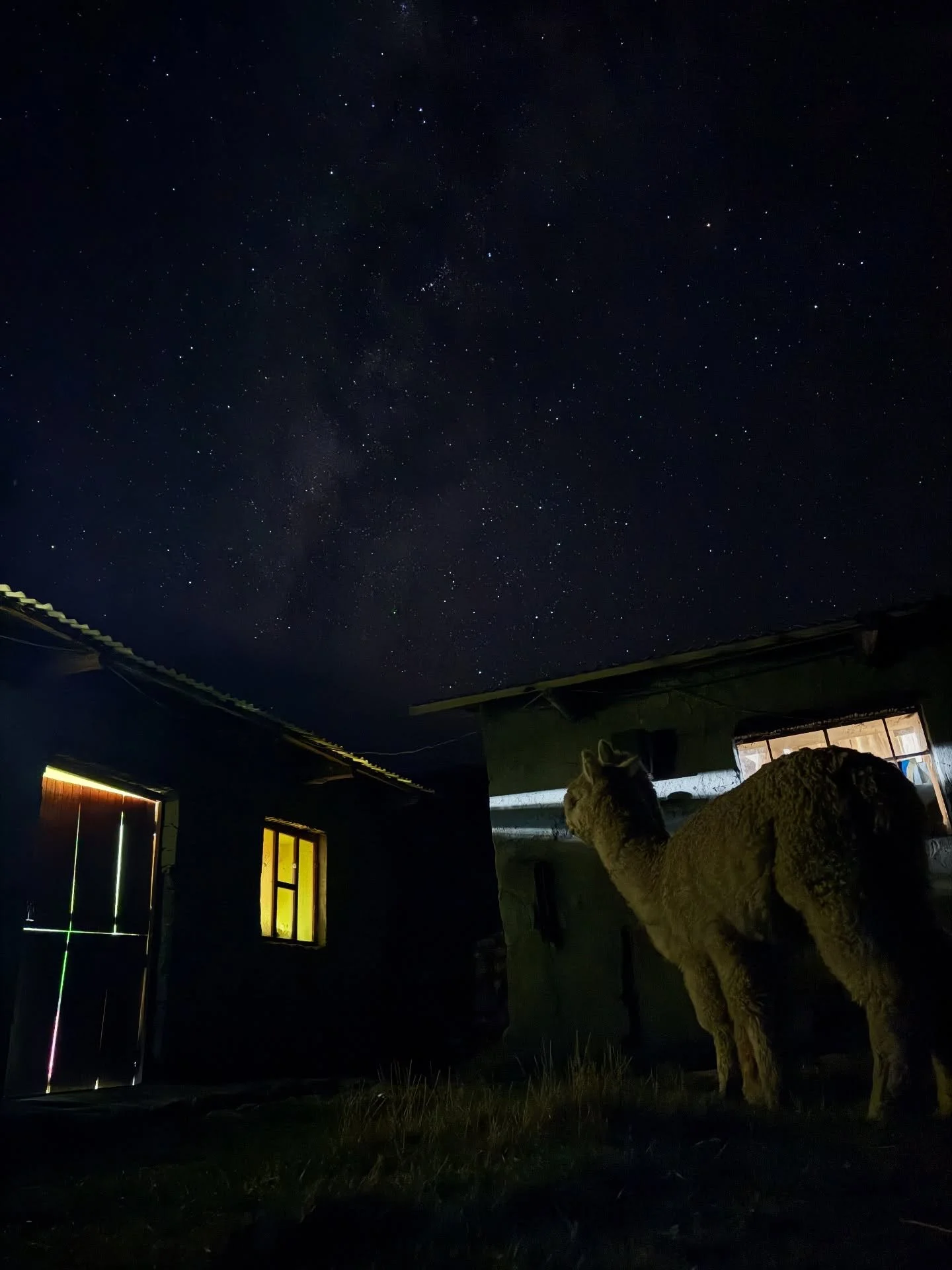 14,234 ft. in los Andes ✨

#culturalthreads #highaltitudemagic #alpaca #shearthelove#homegrownat14000ft #pachamama #alpacalove #celestialviews #milkyway #writteninthestars