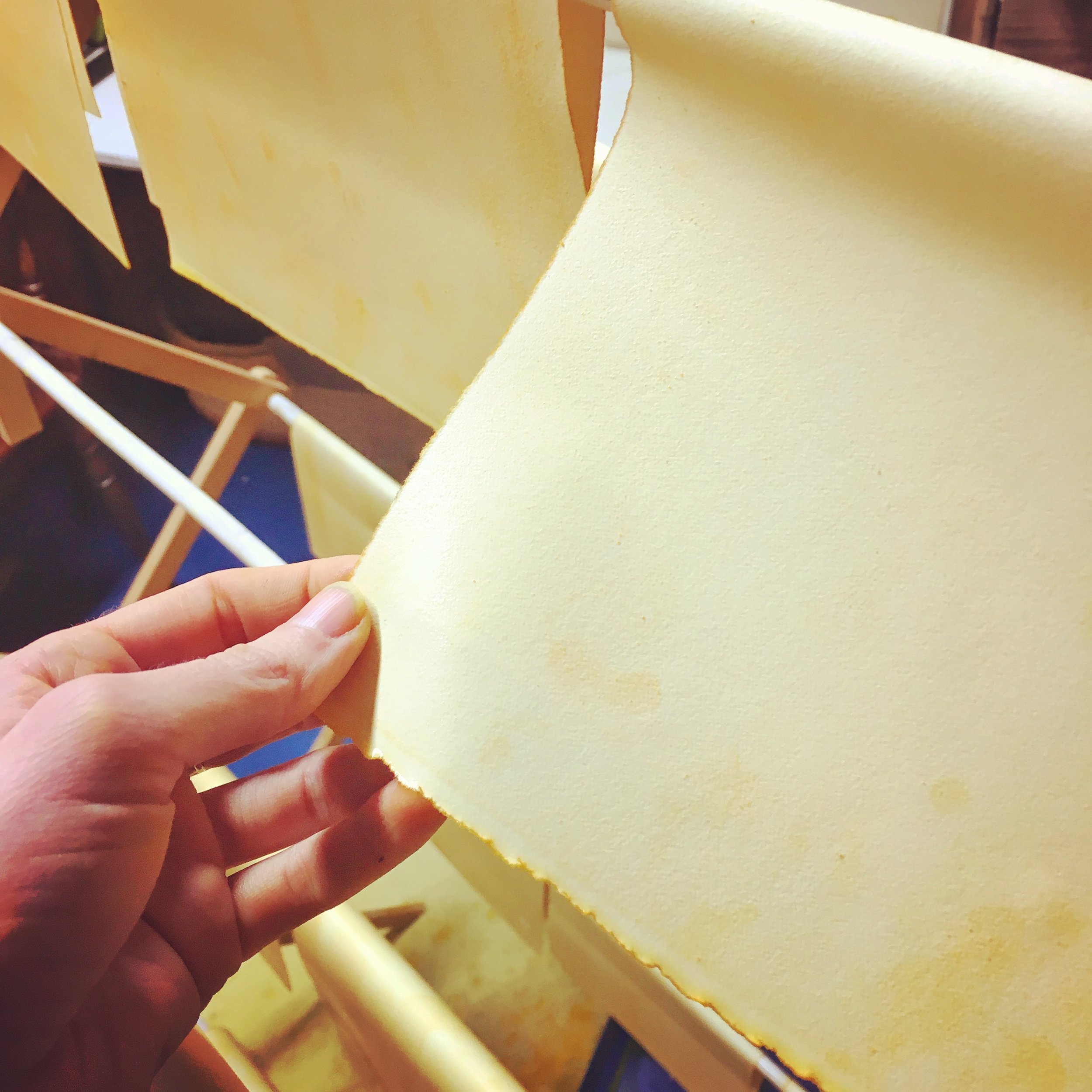 Dying and drying cotton text paper with turmeric powder.