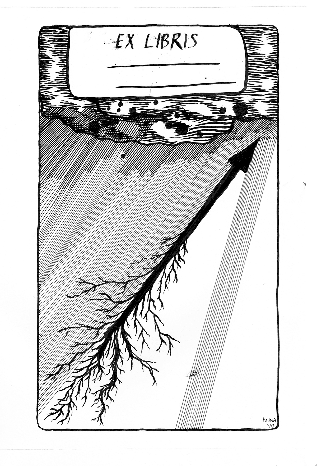 Vo3.png