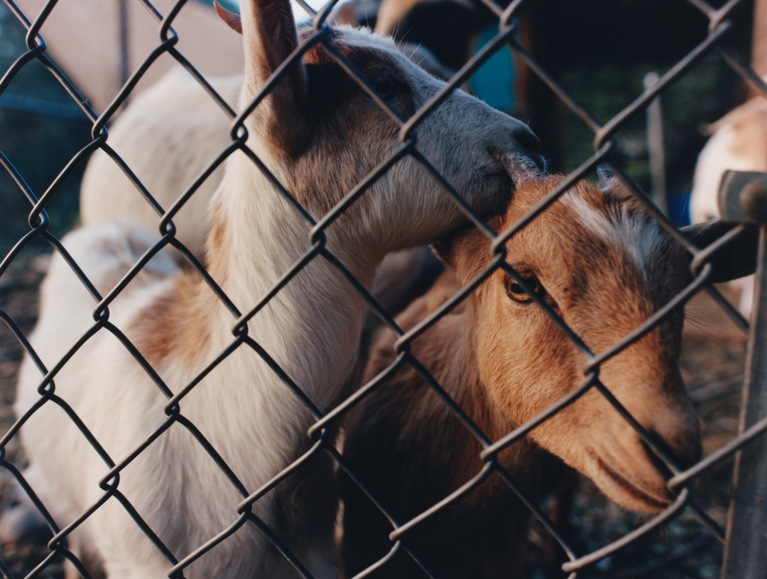 Alvarez_insmx (7).jpg