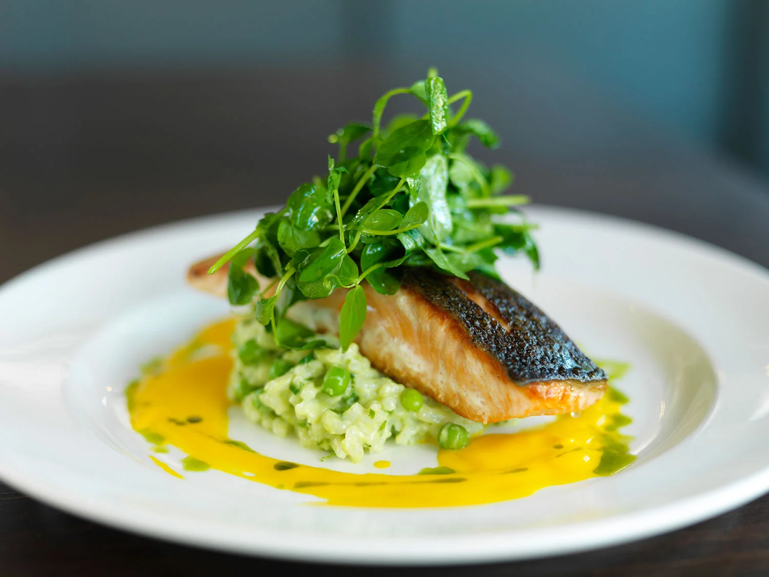 Salmon.jpg