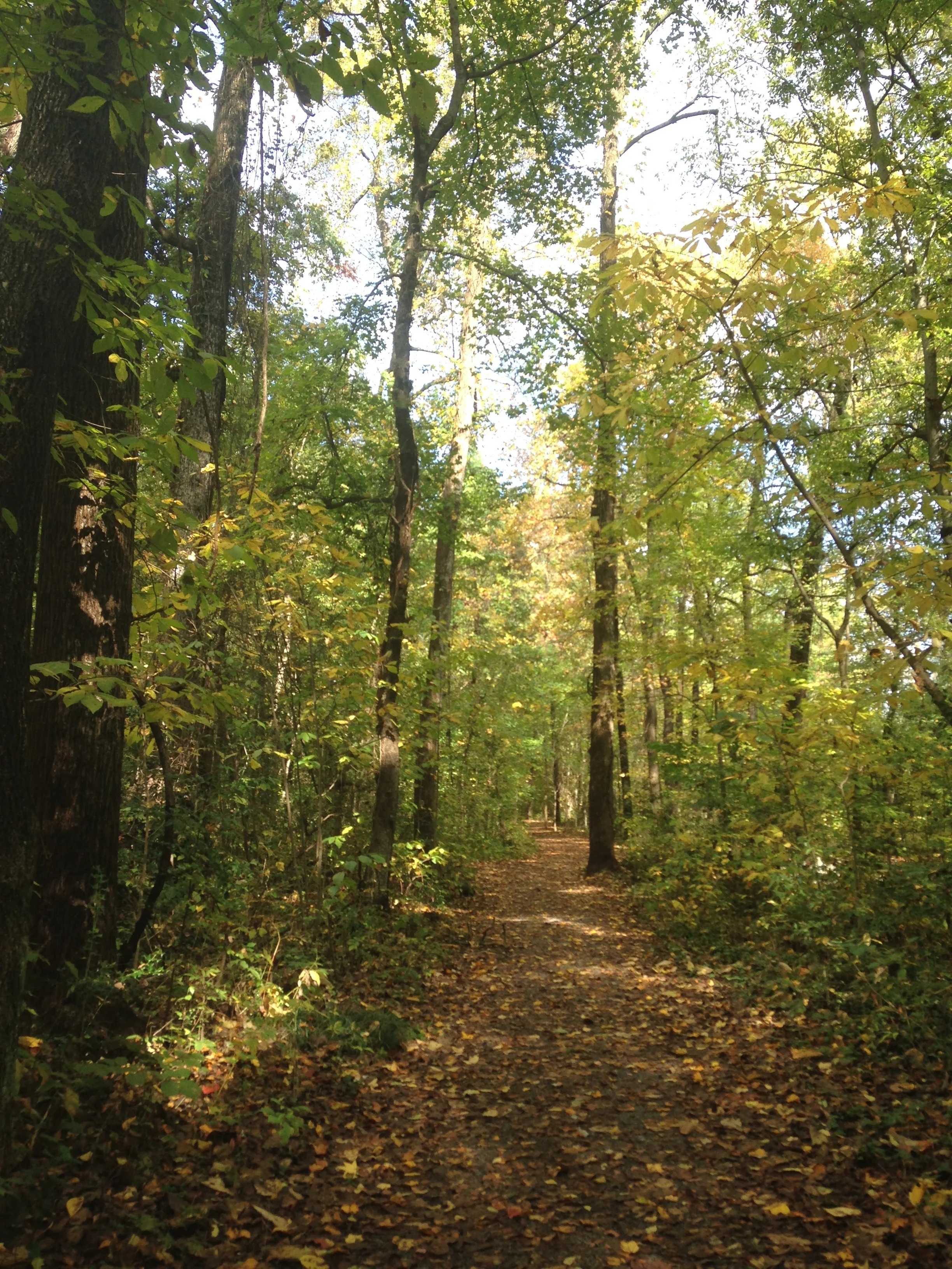2015-10-28 13.39.14.jpg