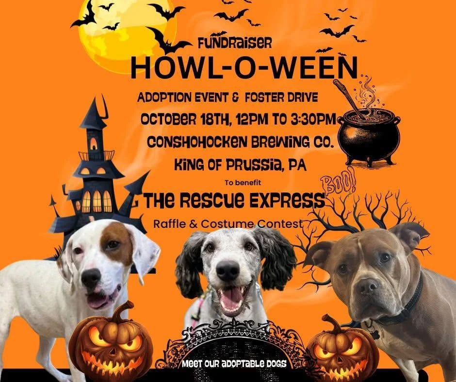 🐾🎃 𝙃𝙊𝙒𝙇-𝙊-𝙒𝙀𝙀𝙉 is coming to the KOP Tap Room! Join us Saturday, October 18th from 12&ndash;3:30 PM for a fundraiser + adoption event with @therescueexpress.

Come meet adoptable pups, enter the raffle, and help raise support for a great ca