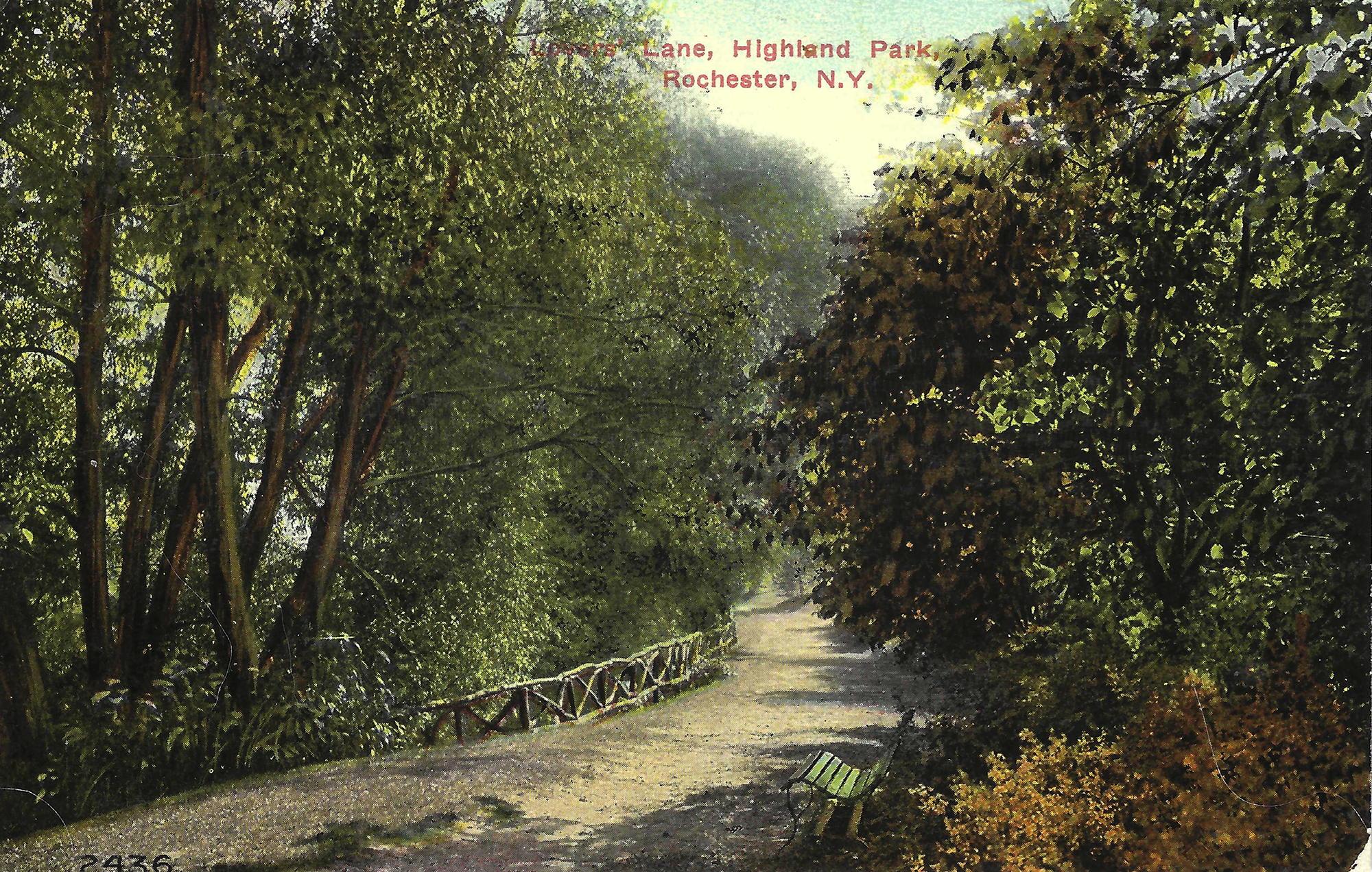 Lovers Lane • c. 1911