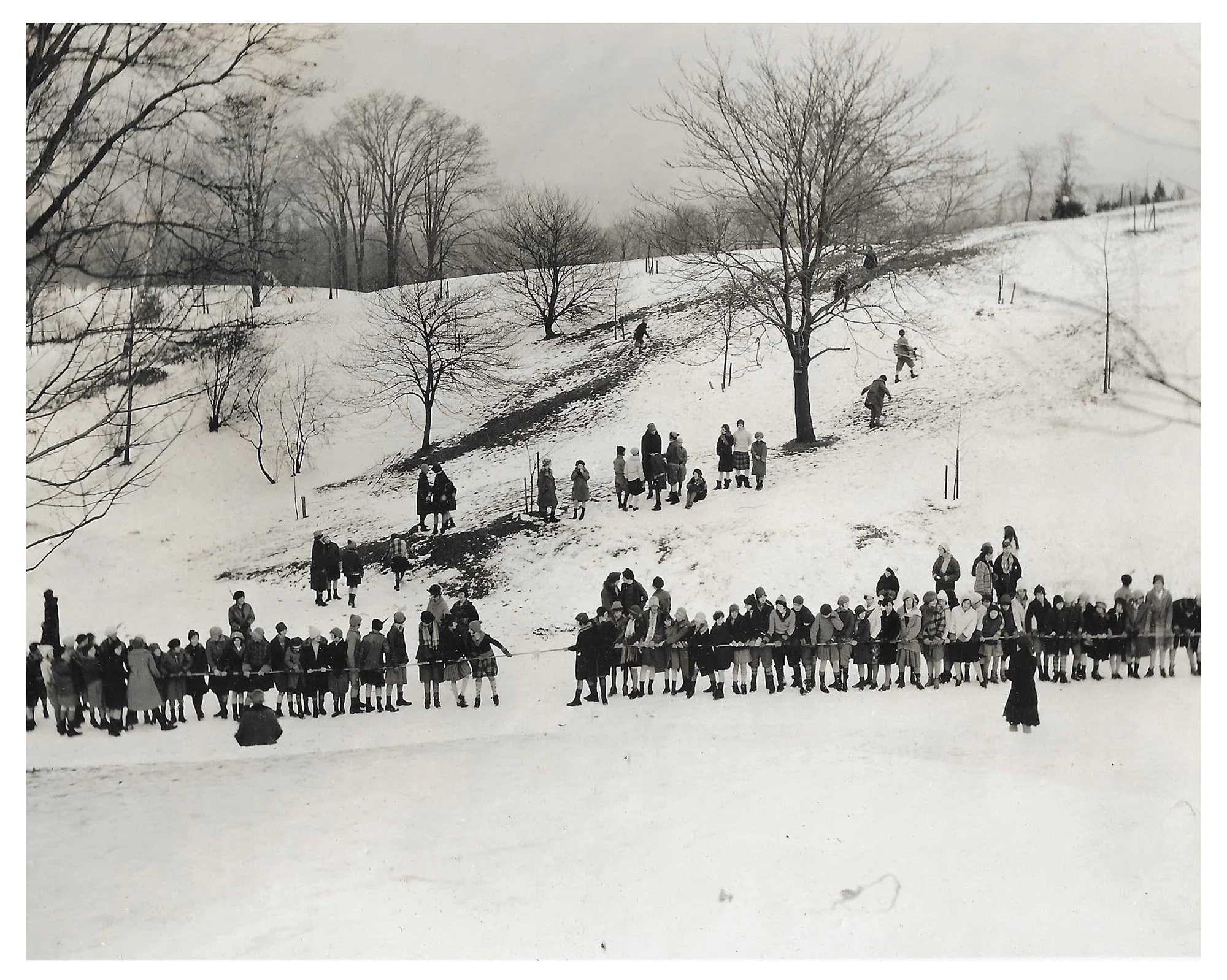 Girl Scout Yule Log Hunt