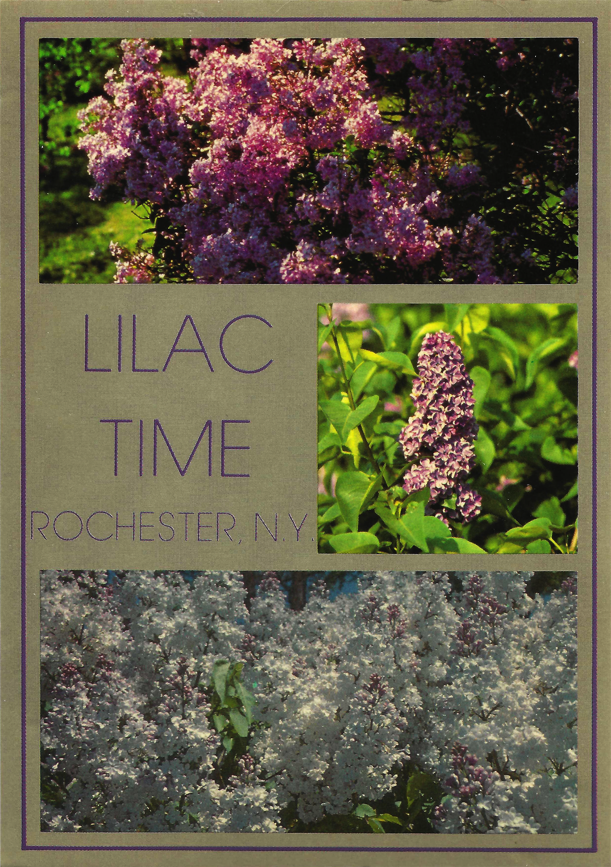 Lilac Time • c. 1960s