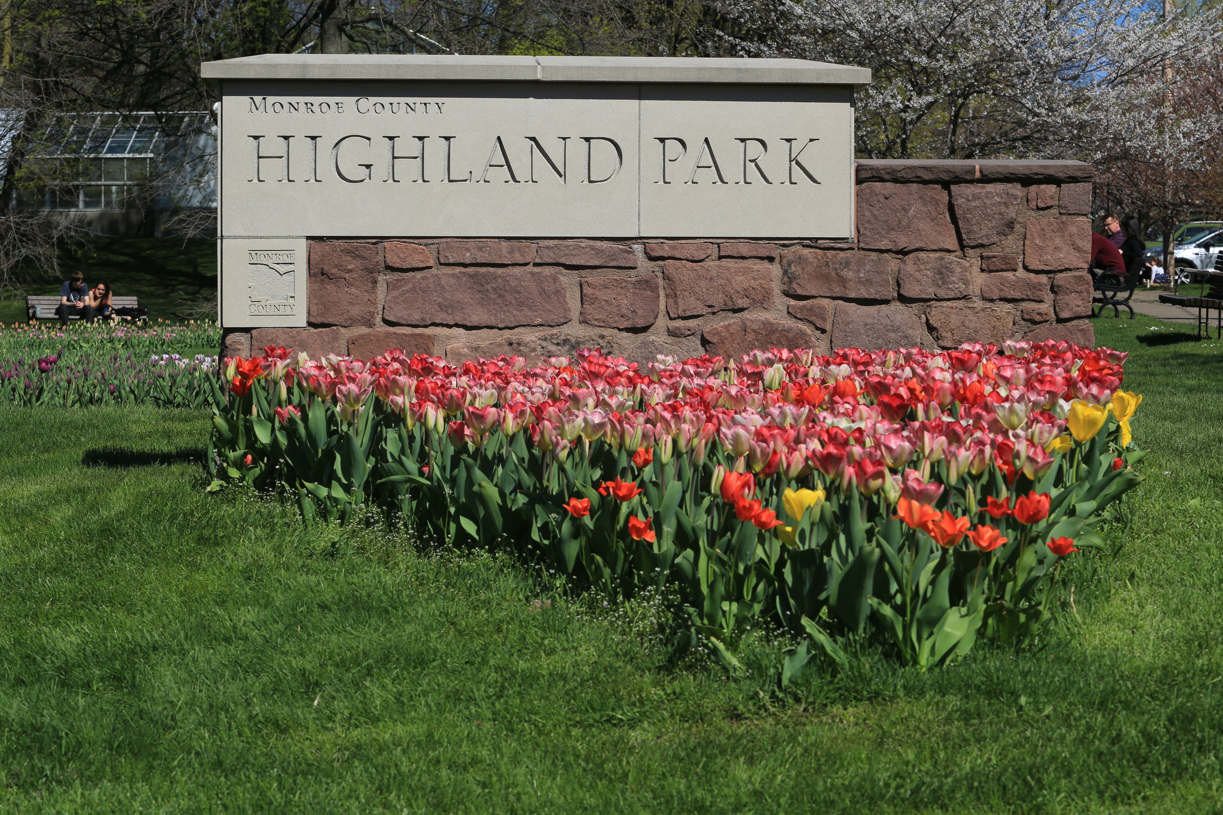 Blooms April — Highland Park Conservancy