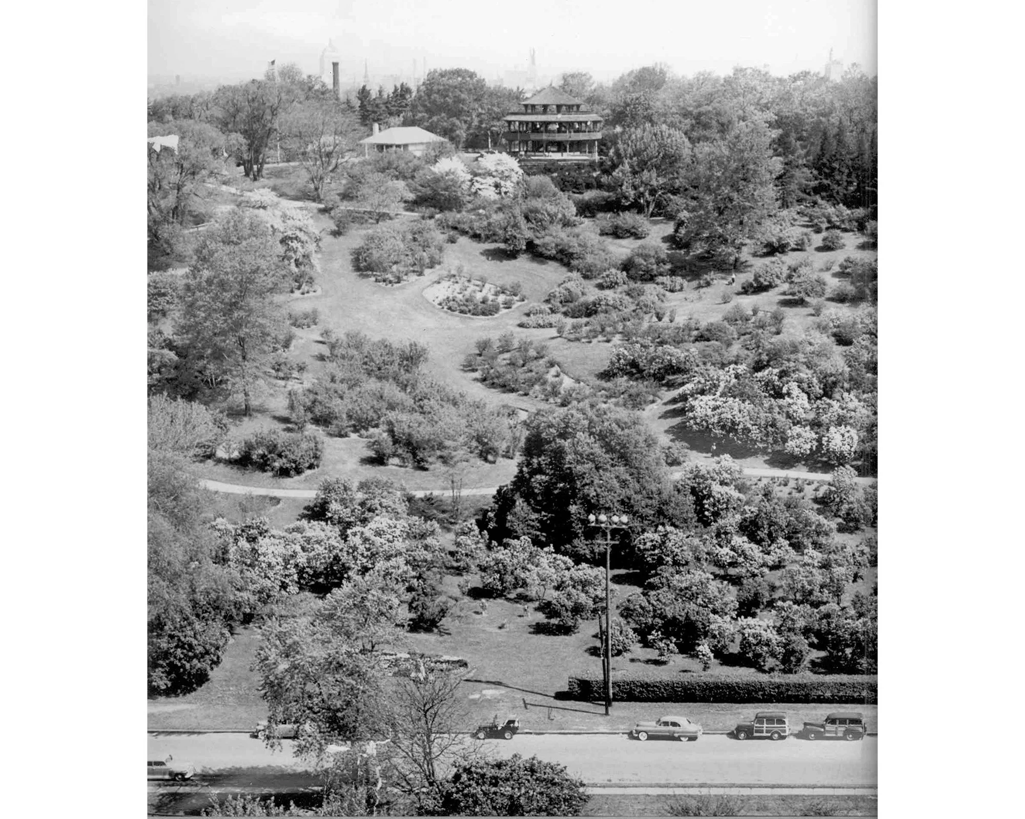 Children’s Pavilion • South Slope