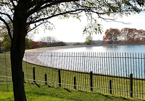 Highland Park Tour: a Botanical Oasis in the City–an Introduction!