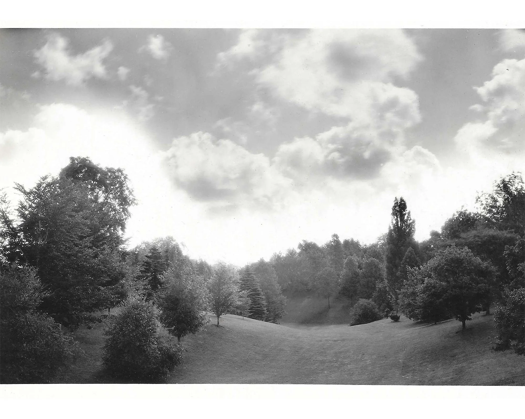 Pinetum Big Meadow