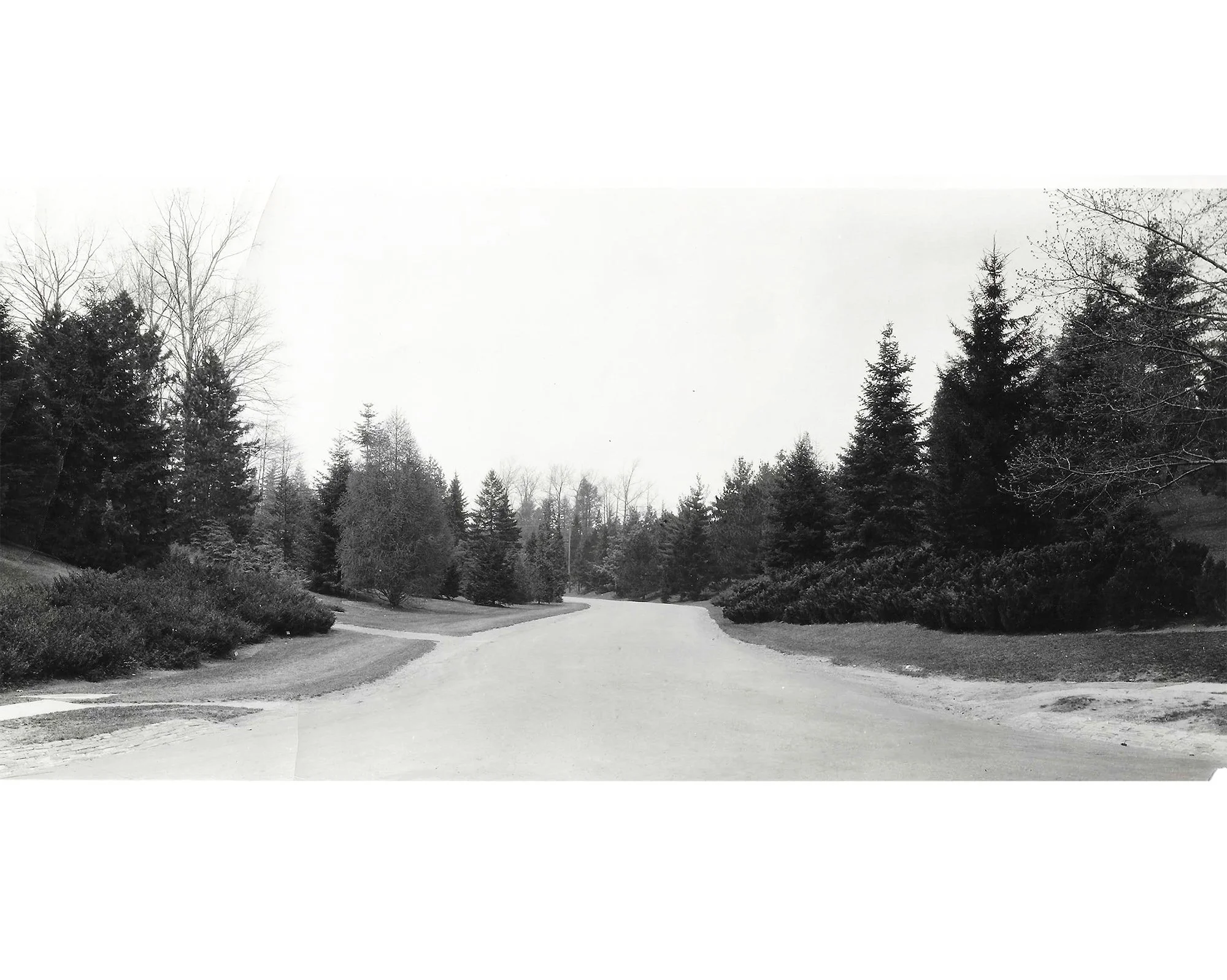 Pinetum Entrance
