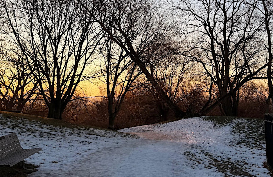 Highland Park Tour: a Winter Stroll through a City Oasis