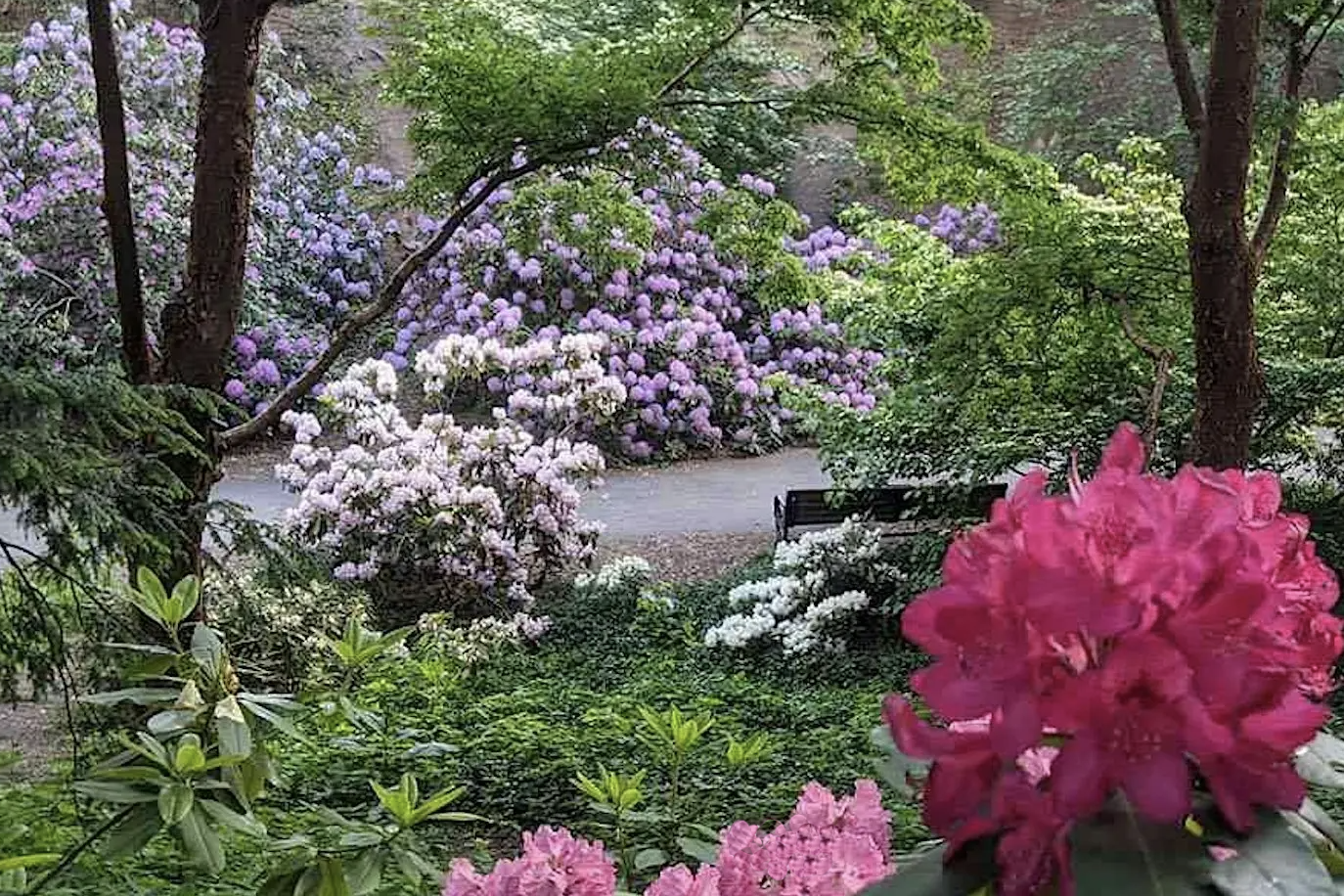 Early Summer at Highland Park: A Guided Tour