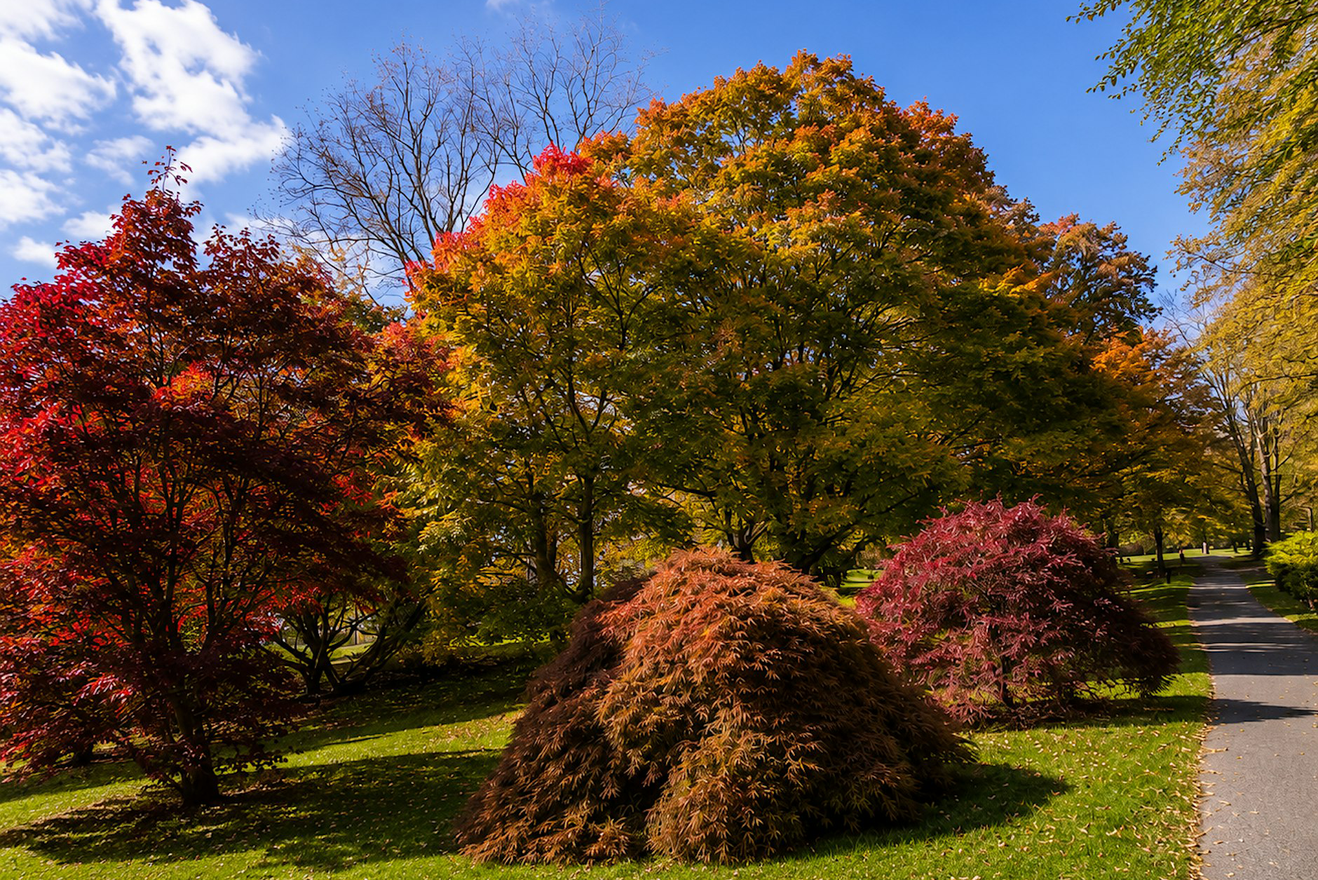 Early September at Highland Park: A Guided Tour 