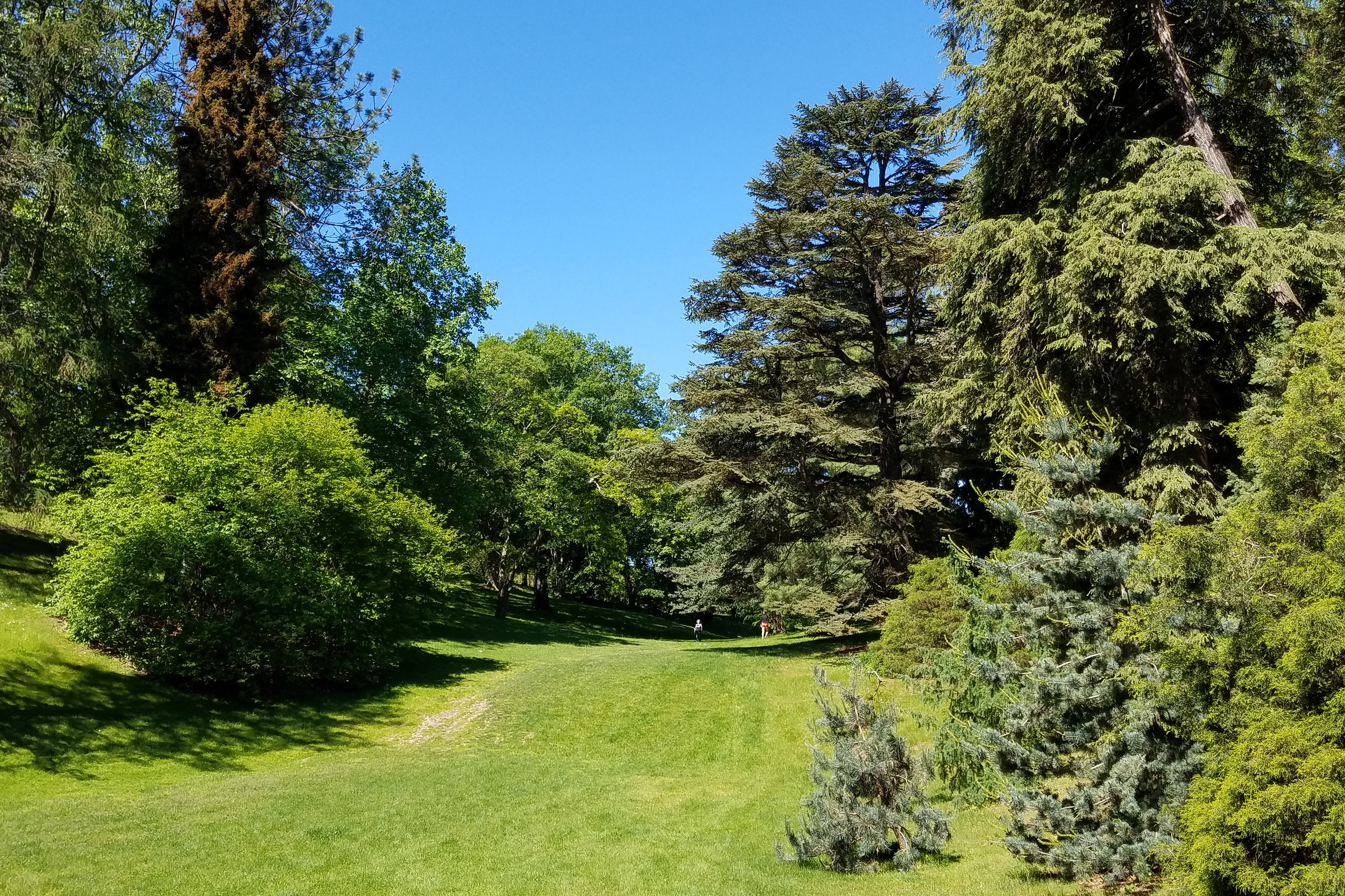 10_0603_2017_HP_LowerLawn_Vista_east_MG_102230.png