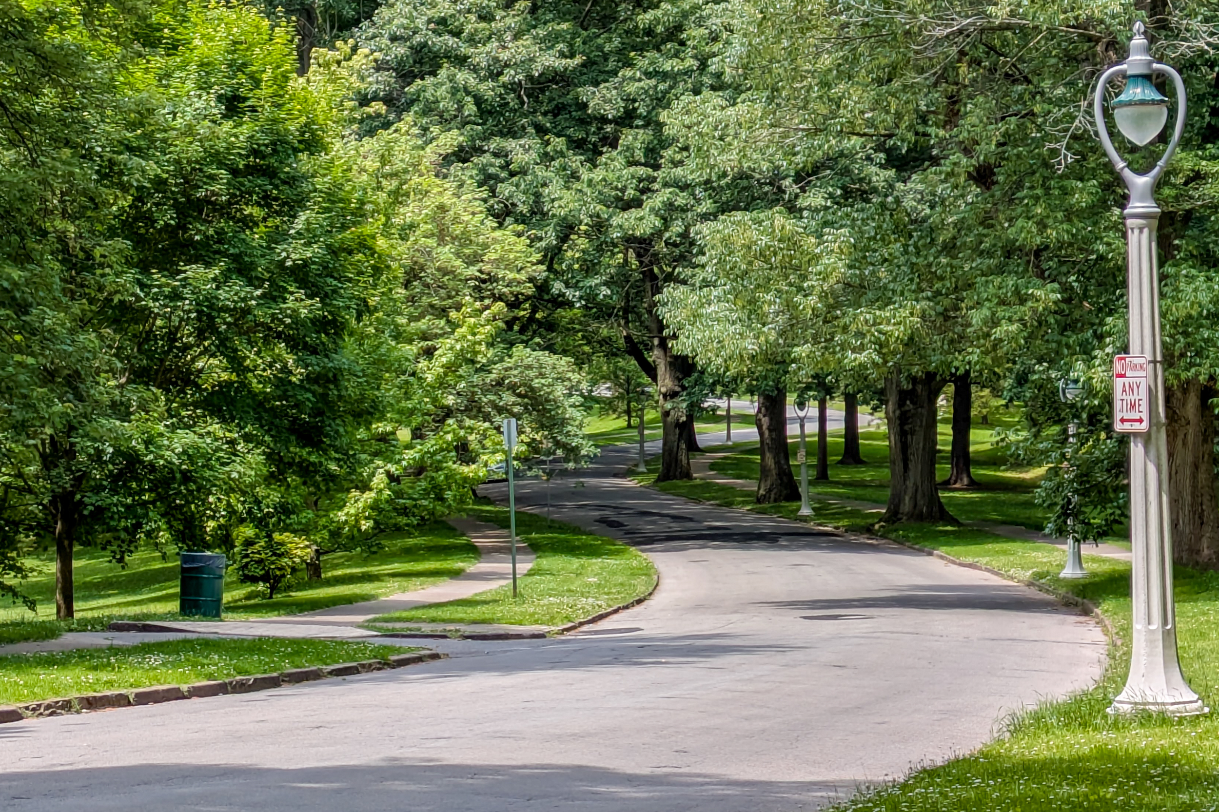 24a_Robinson Drive_#7.png