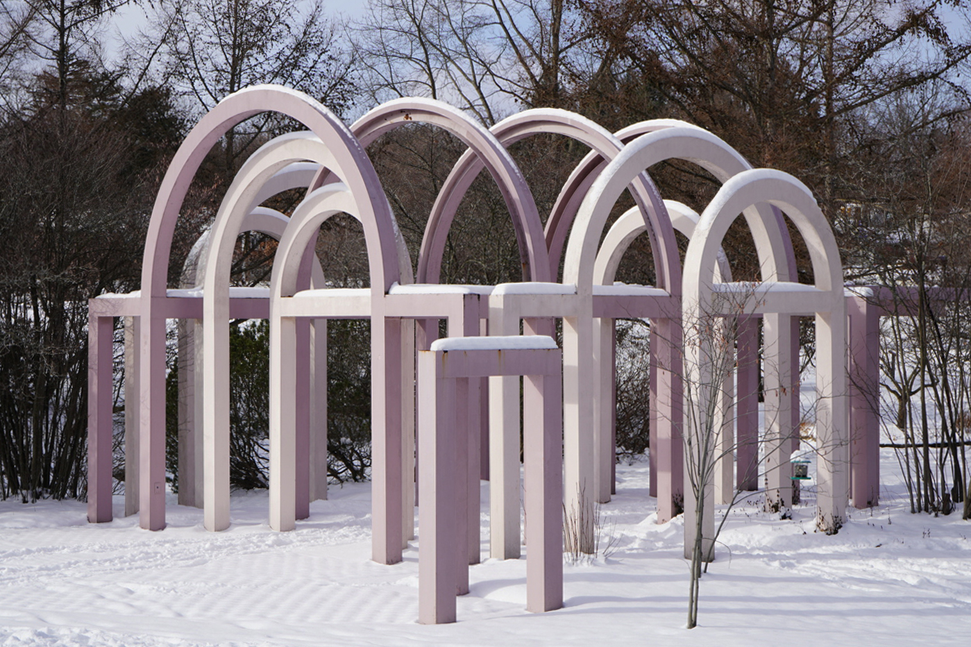 34_0210_2021_HPS_Lilac_arches_JS_00733.png