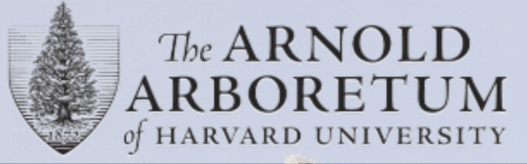 ArnoldArb.png