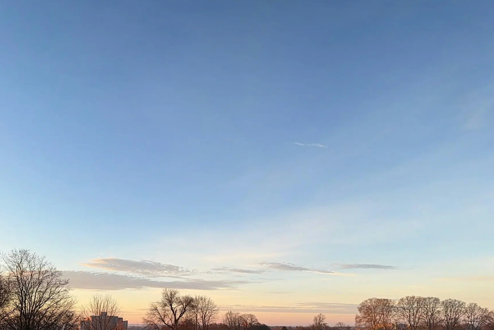 Early Winter in Highland Park: A Guided Tour