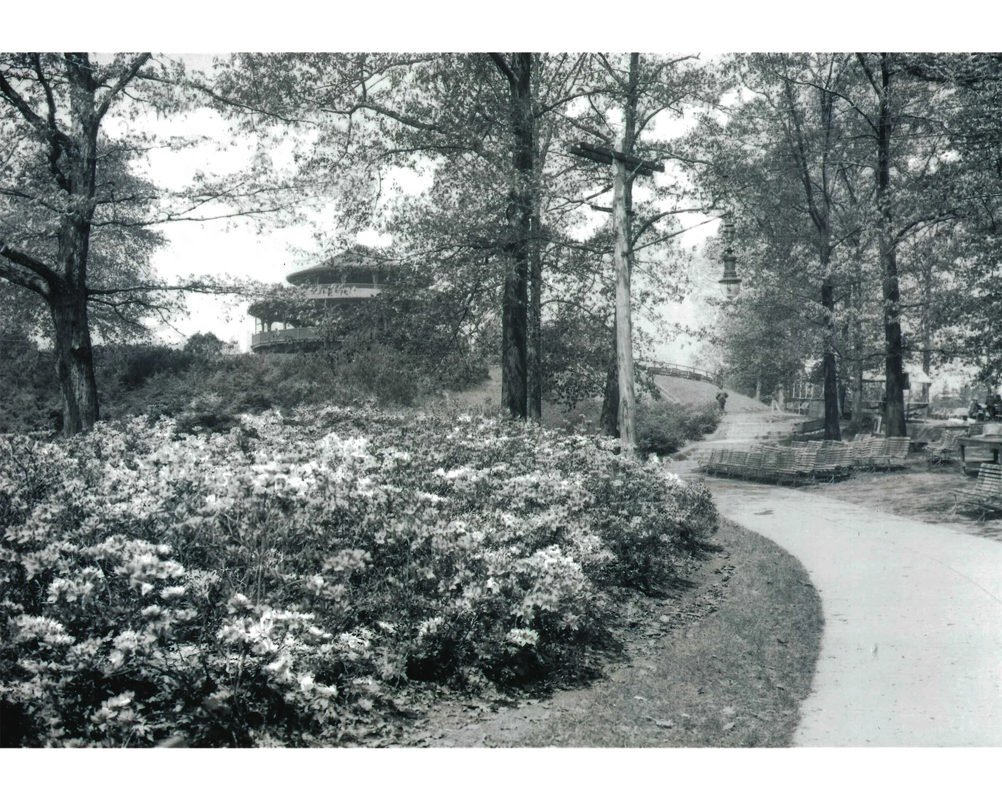 Lower Rhodie Valley