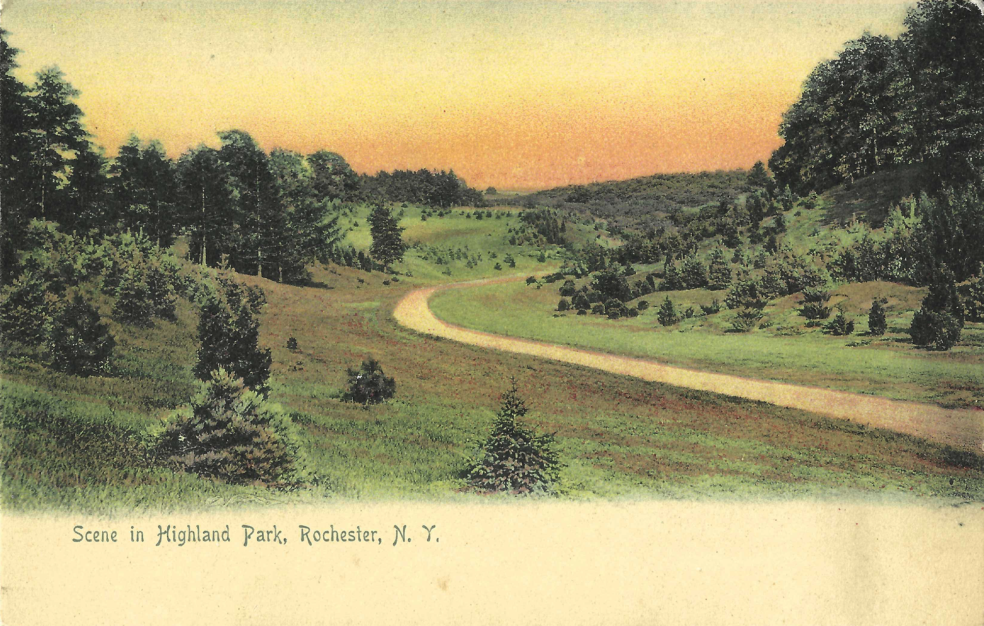 Pinetum • c. 1905
