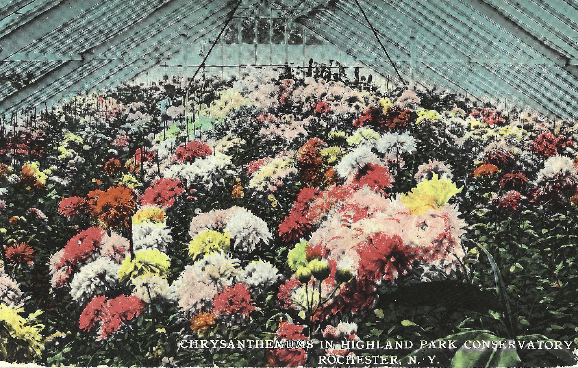 Lamberton Conservatory • c. 1912
