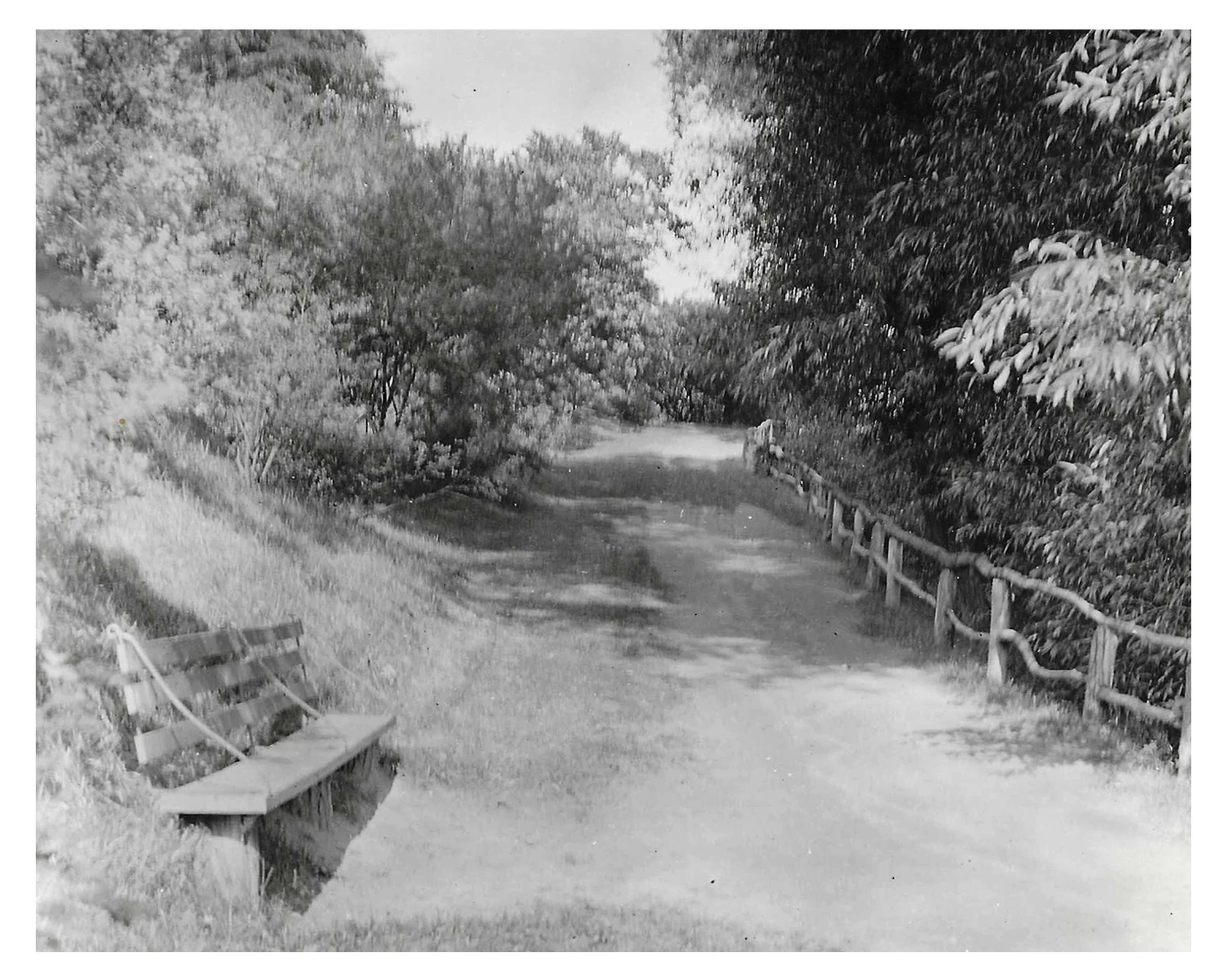Lovers’ Lane