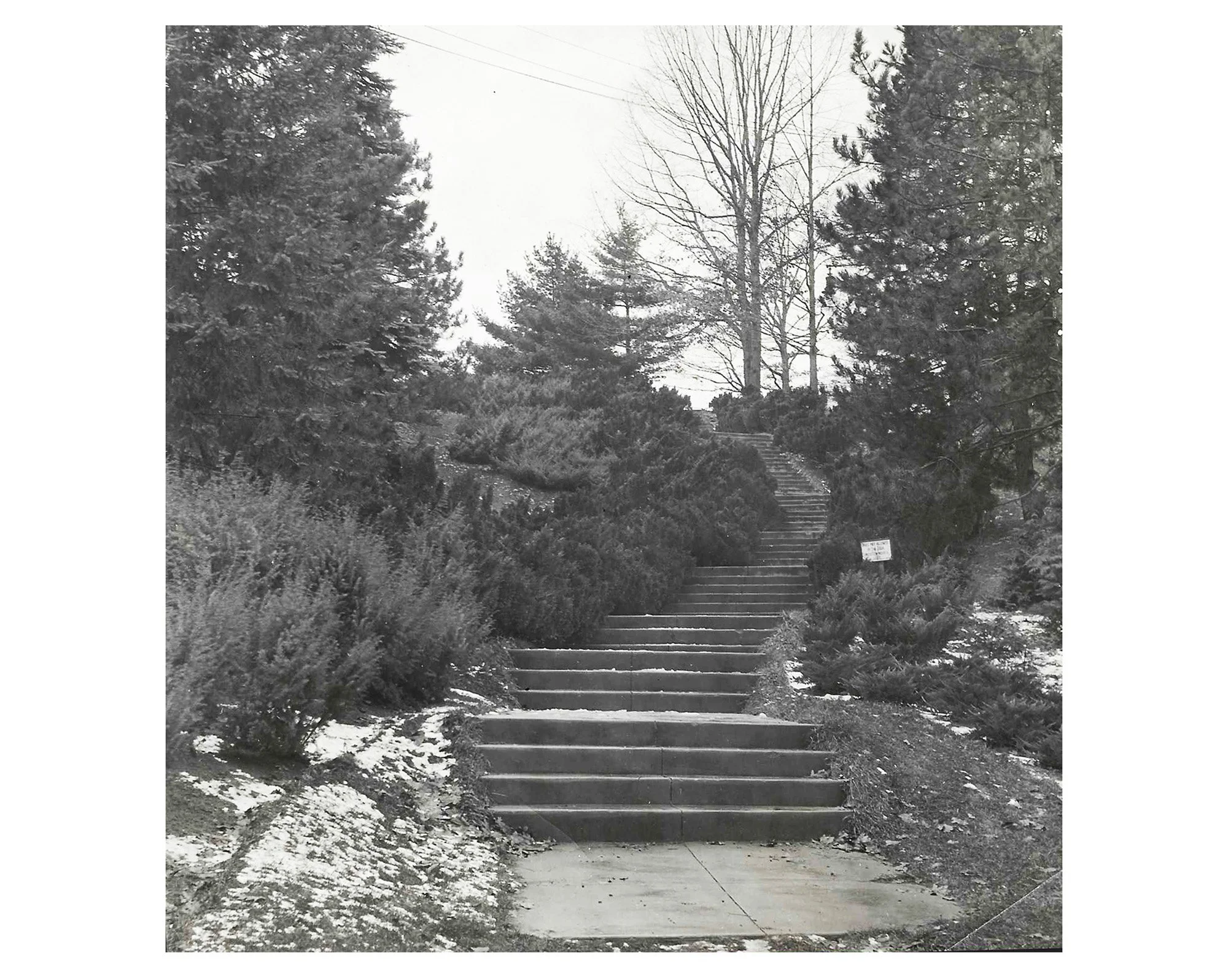 Azalea Stairs