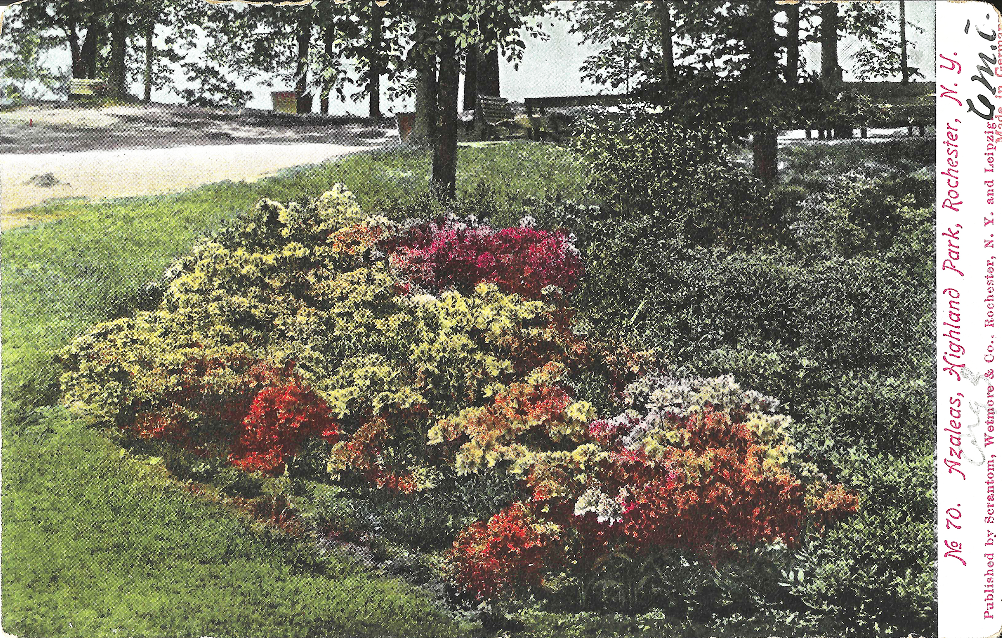 Lower Rhodie Valley • c. 1906