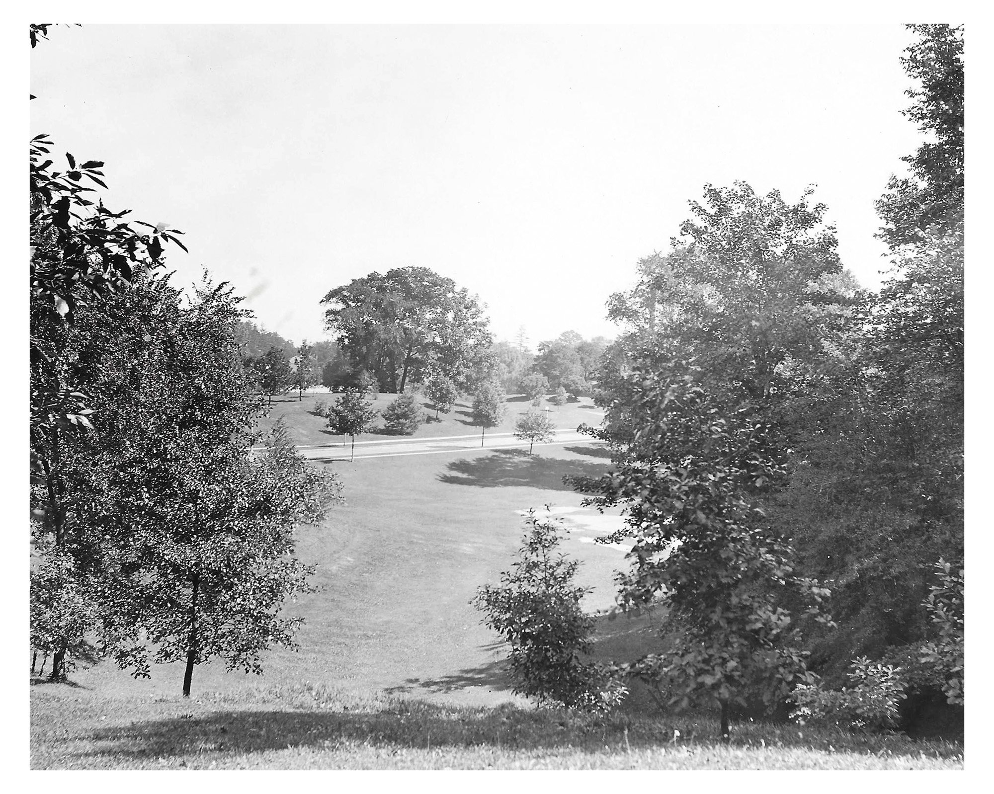 Warner Tract  •&nbsp;Robinson Drive