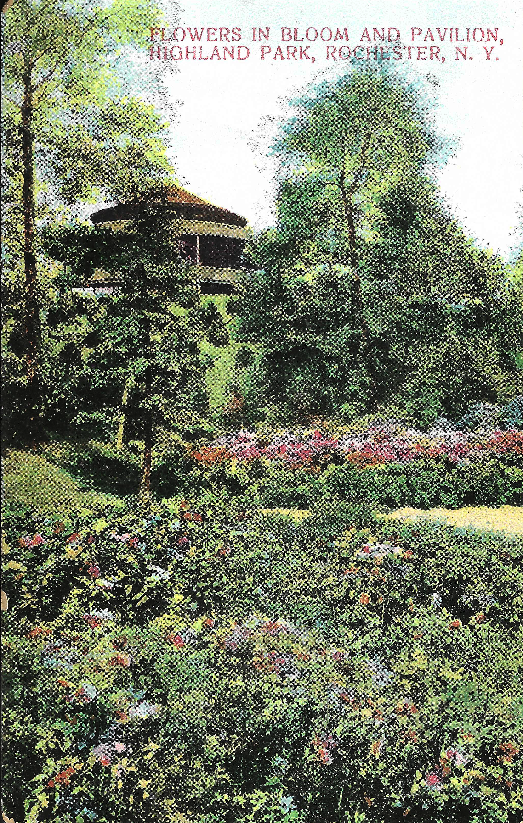 Lower Rhodie Valley • c. 1910