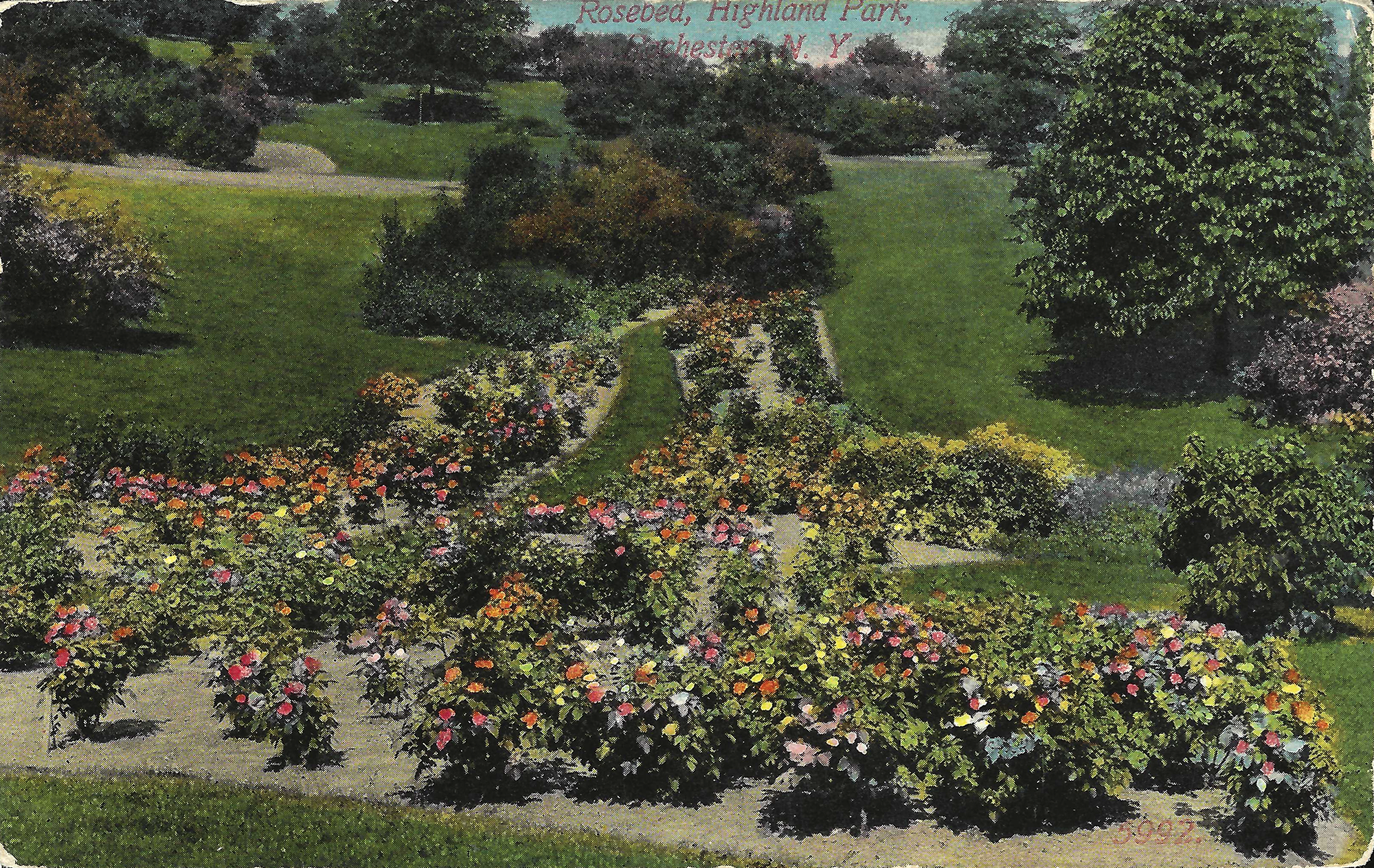 Rose Beds • c. 1912