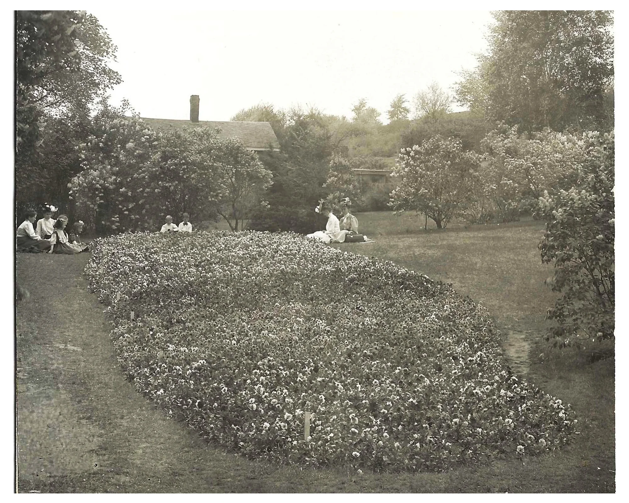 Pansy Bed • Foreman’s House