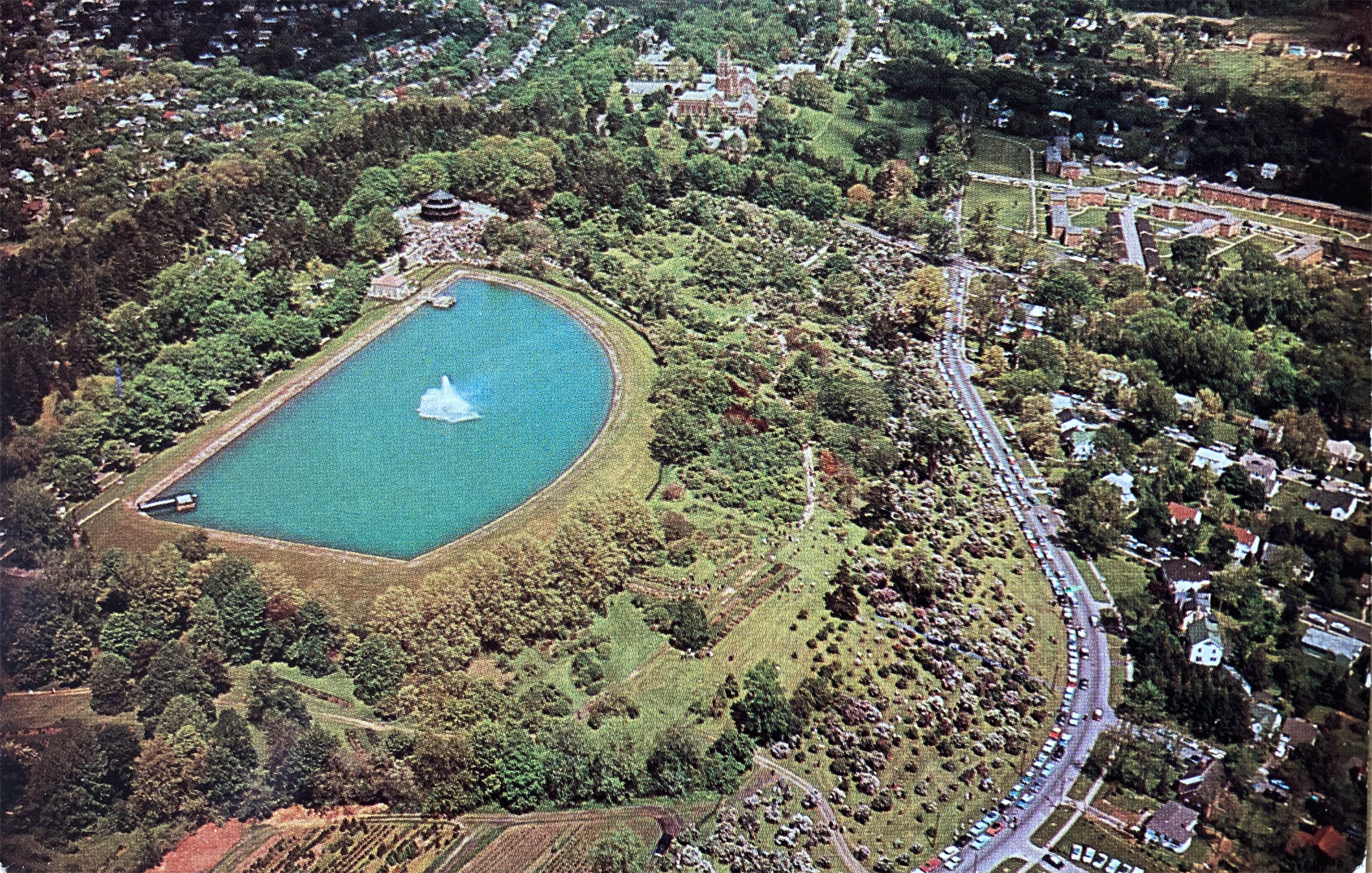 Aerial 2 • Lilac Time c. 1950s