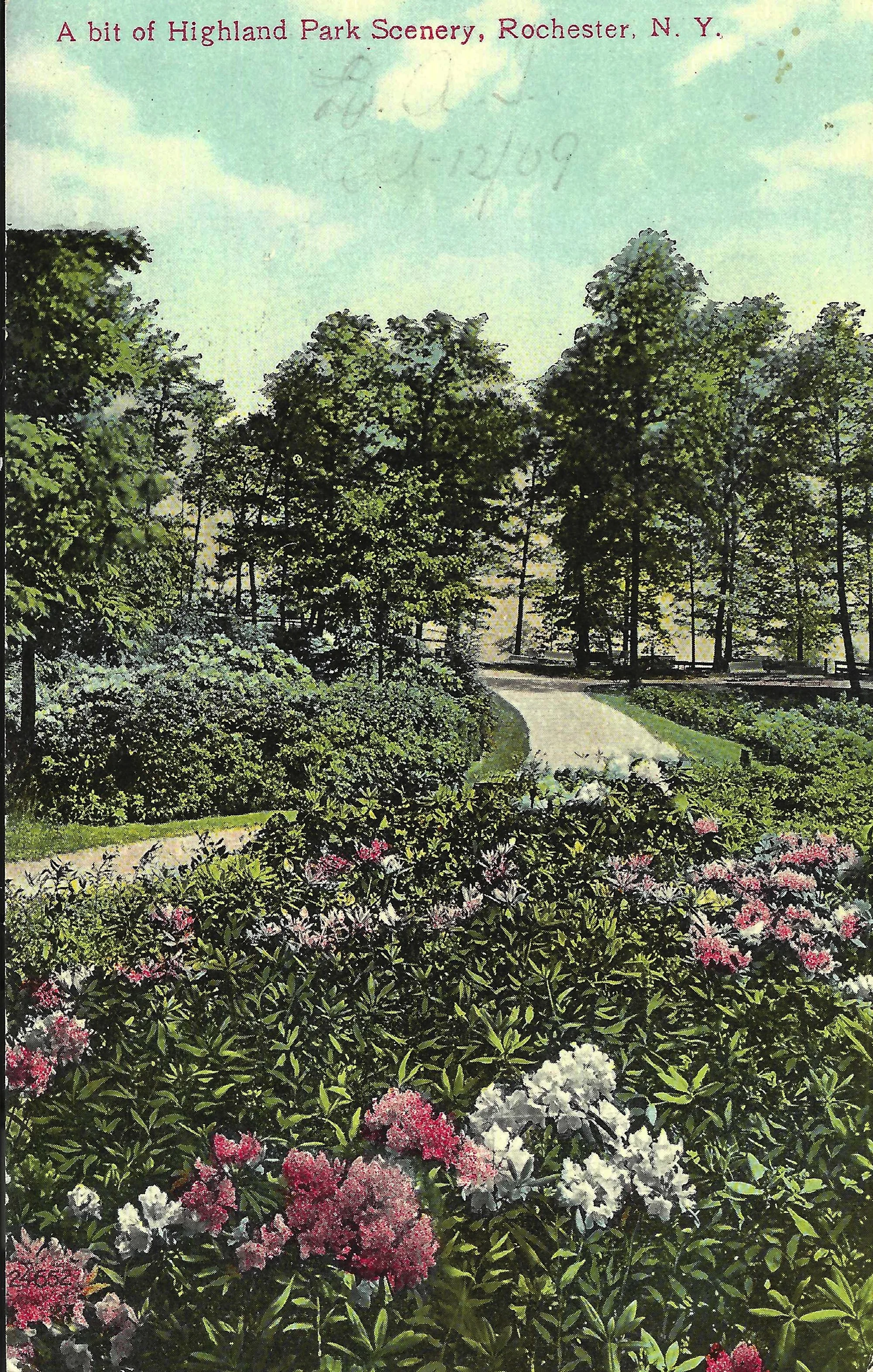 Upper Rhodie Valley • c. 1909