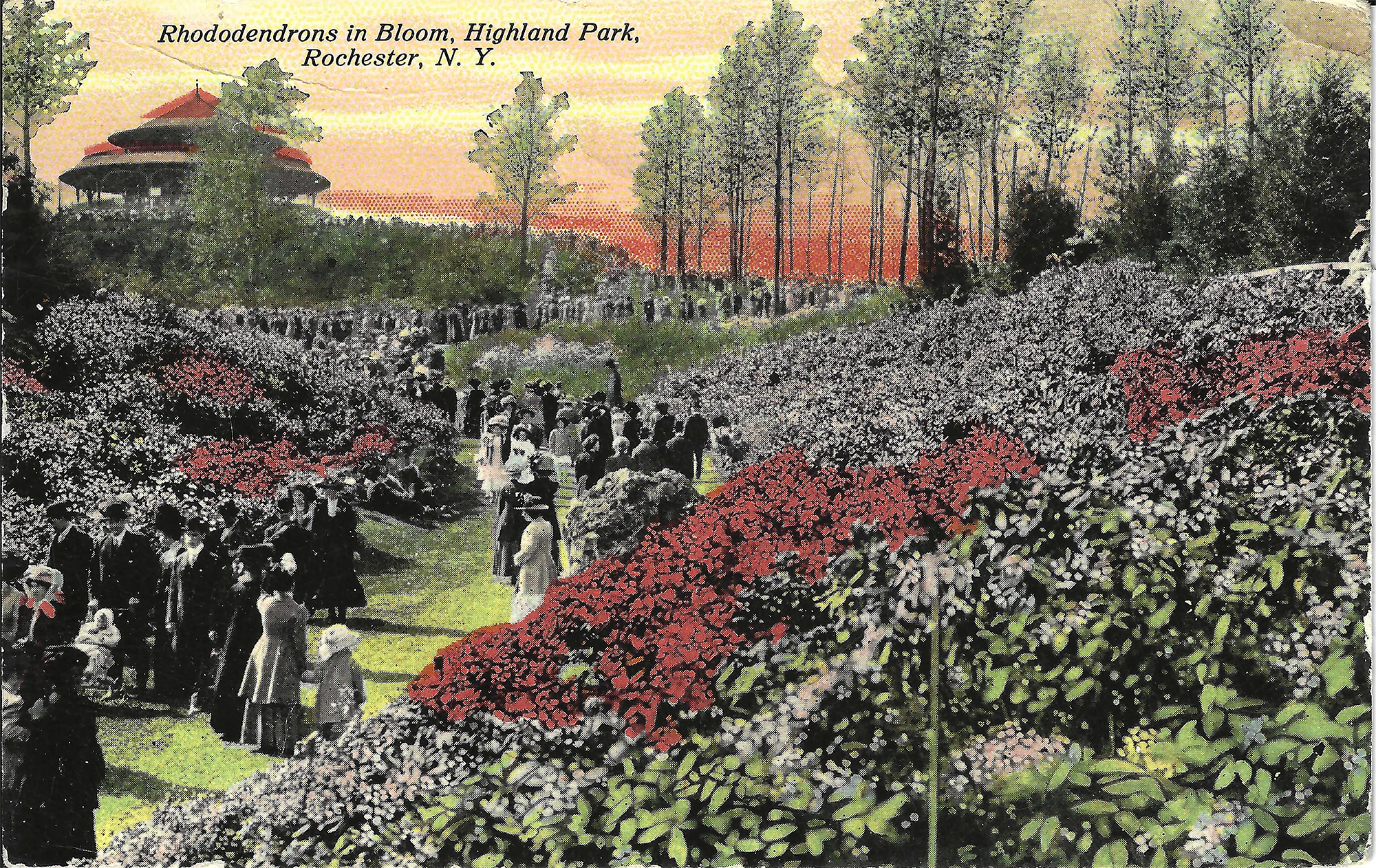 Lower Rhodie Valley • c. 1912