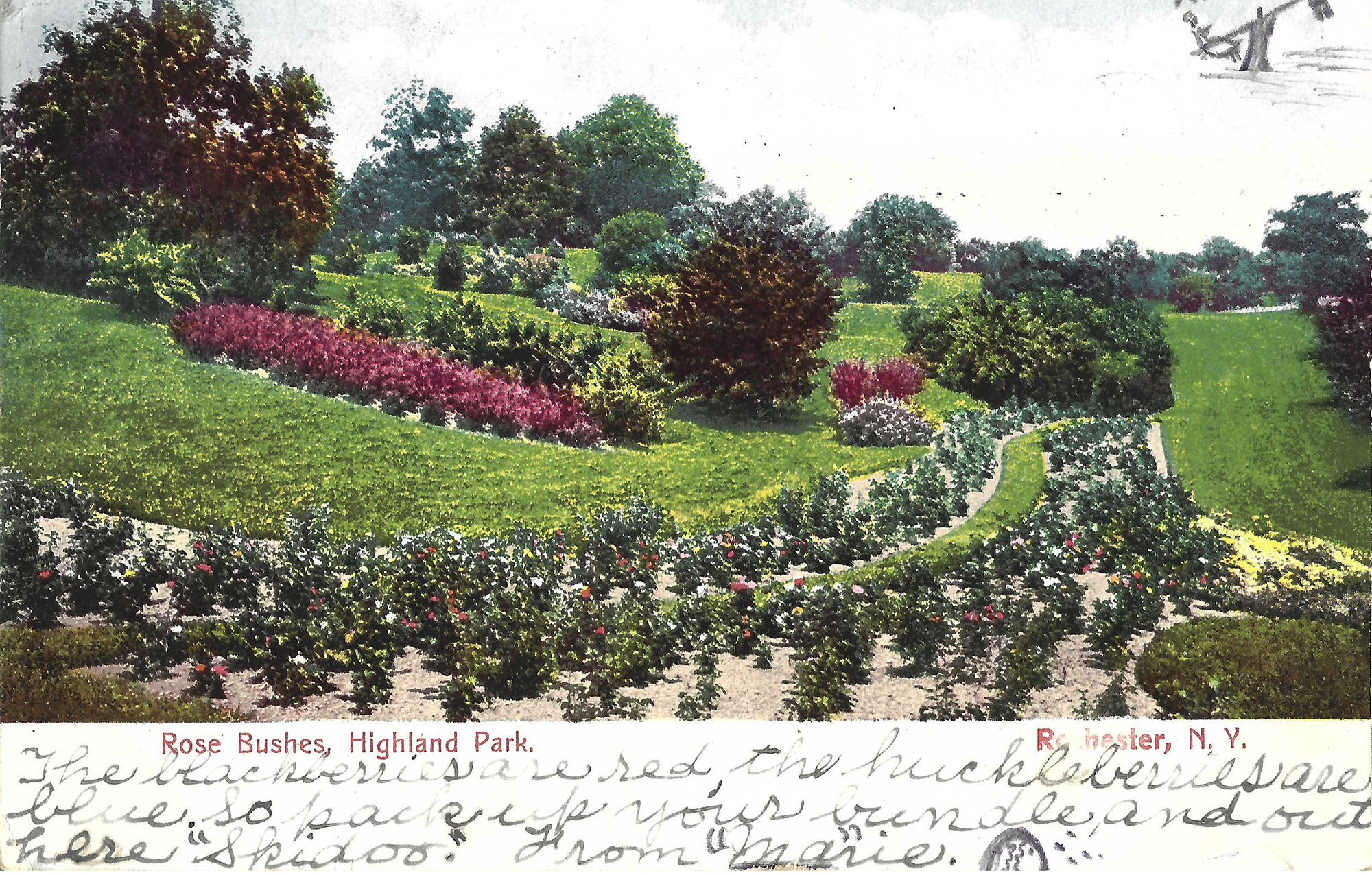 Rose Beds • c. 1906