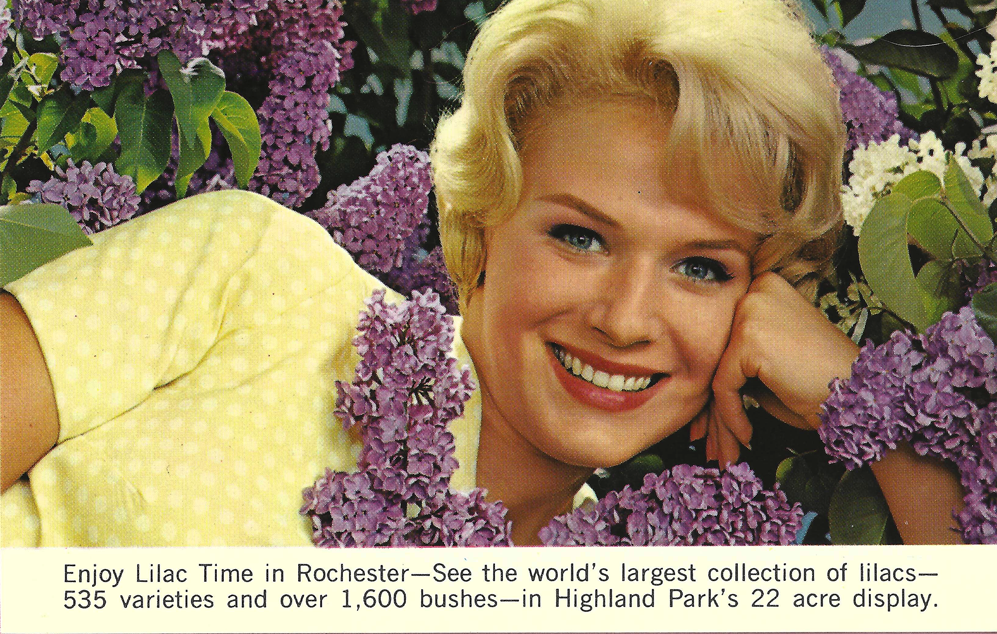 Lilac Time • 1966