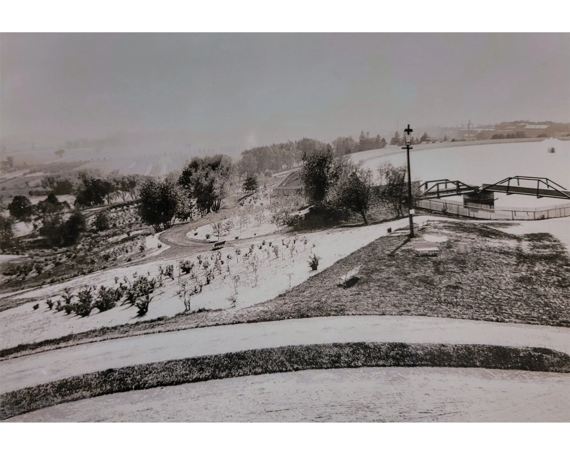 Early View from Overlook