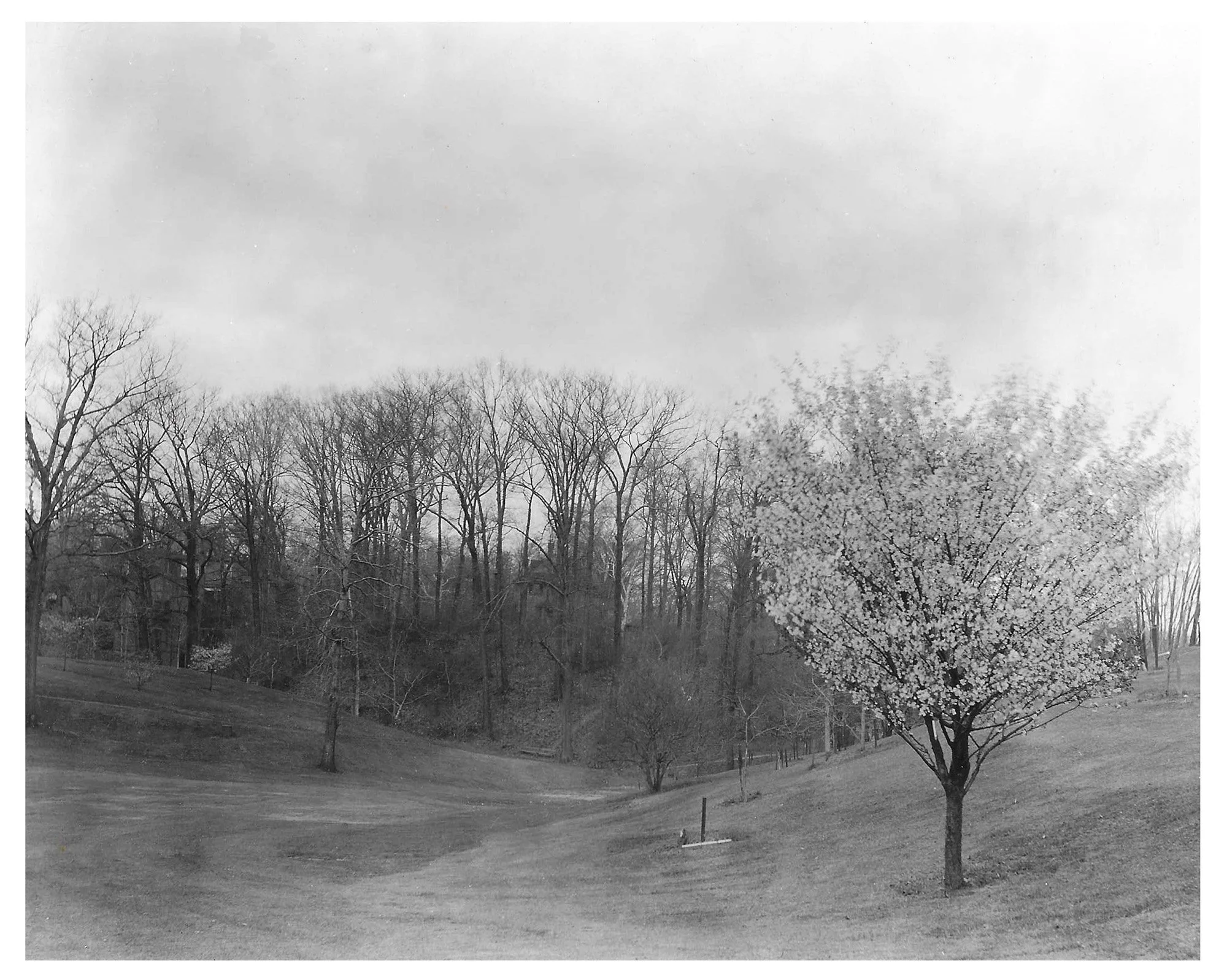 Warner Tract