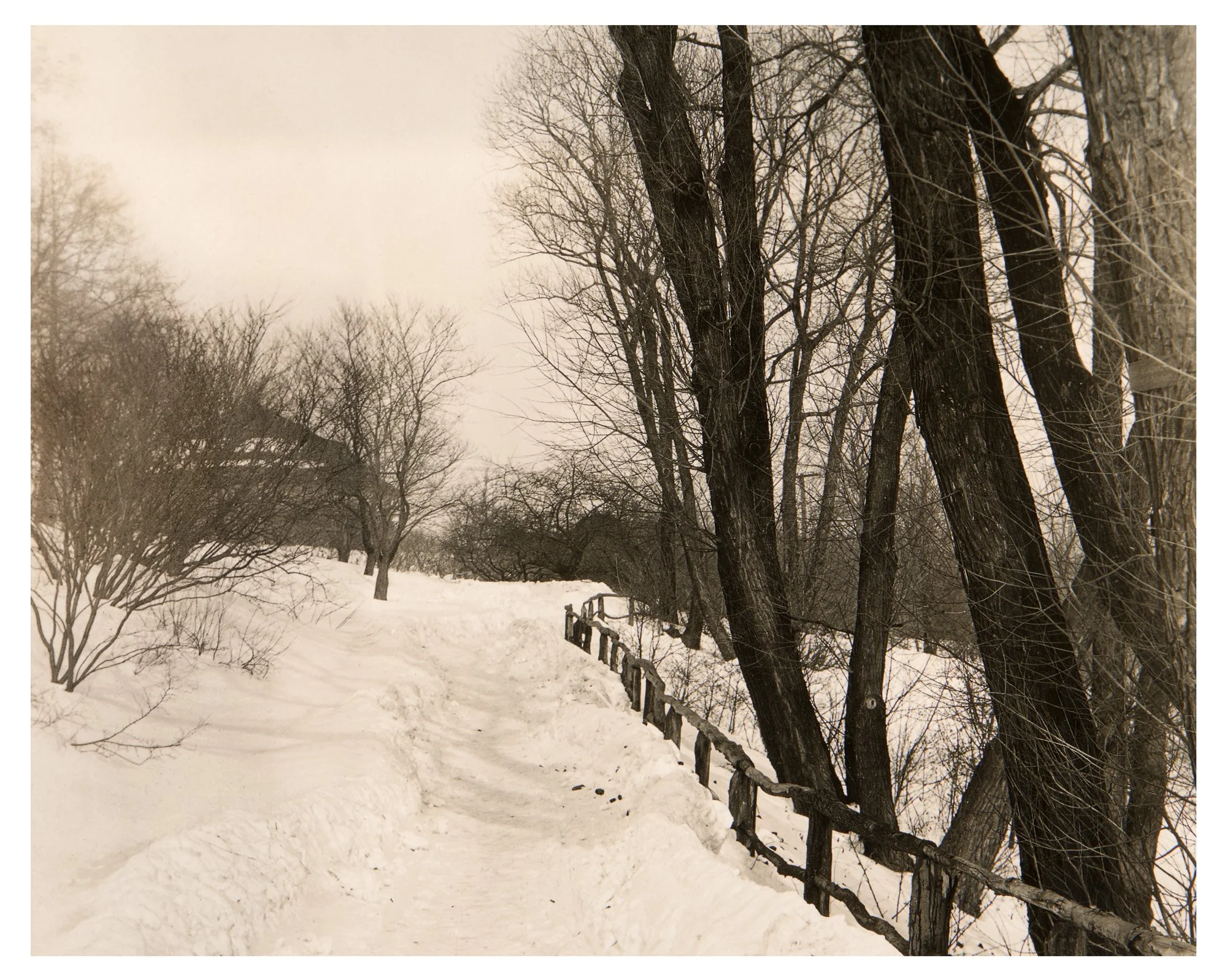 Lovers’ Lane