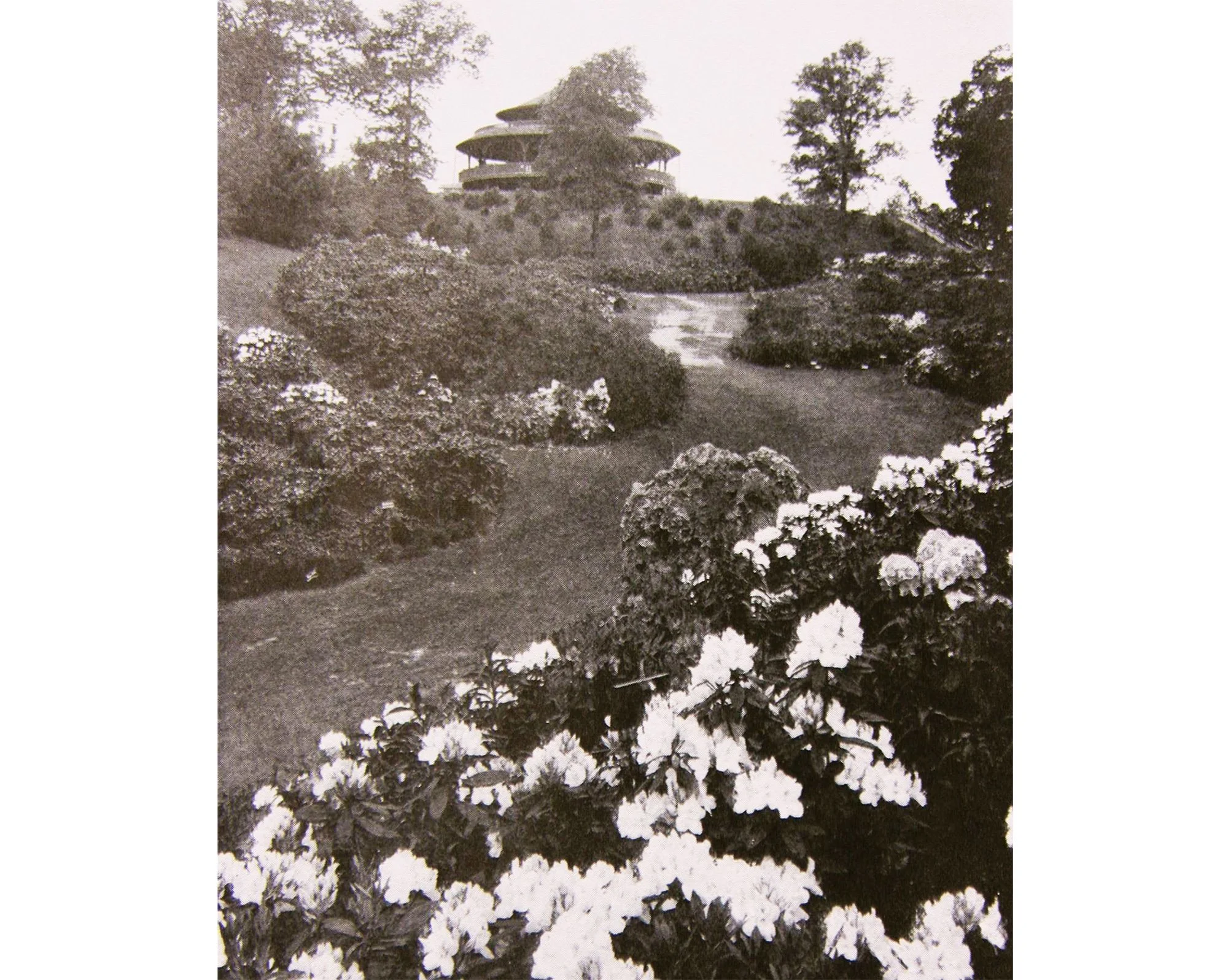 Lower Rhodie Valley