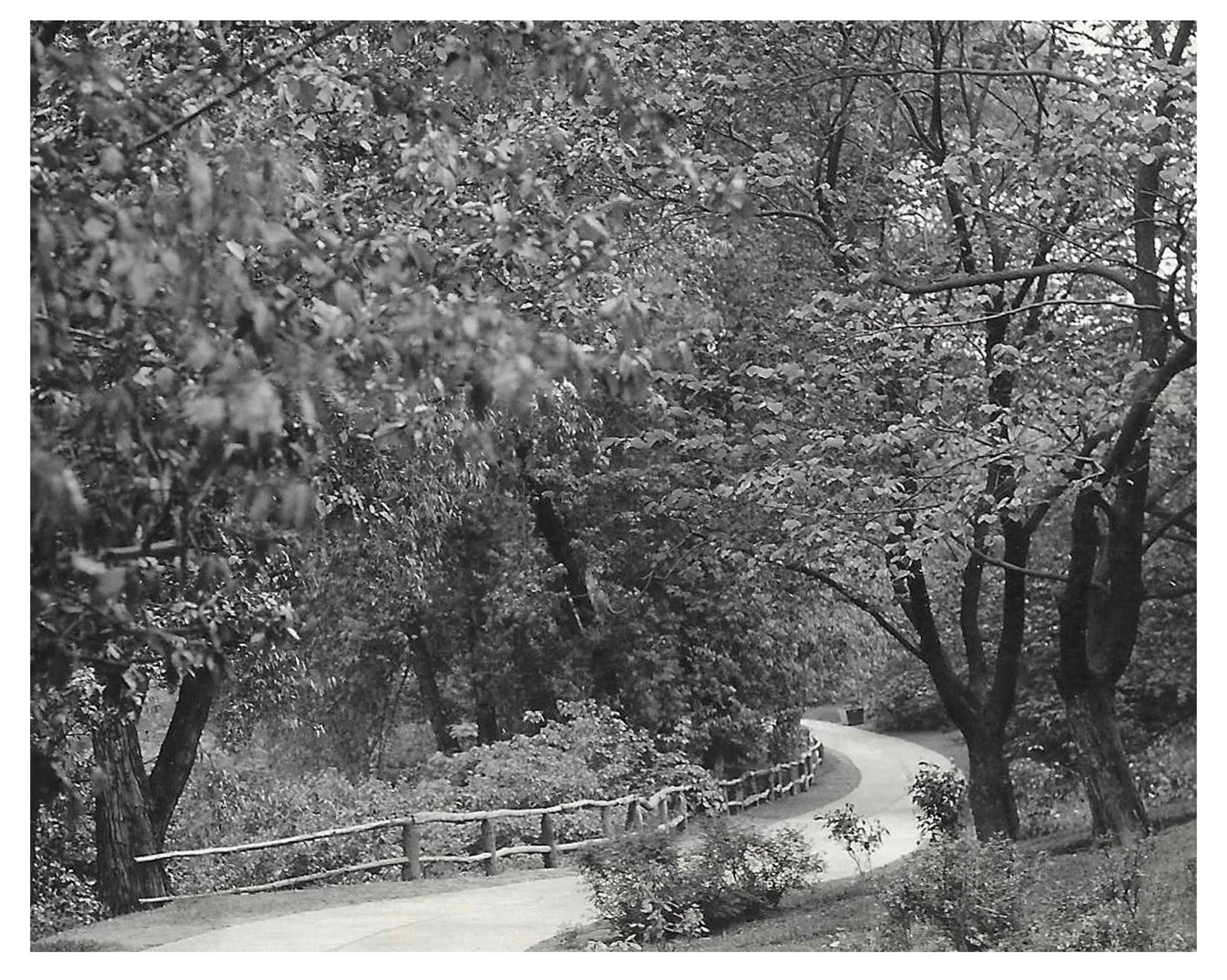 Lovers’ Lane