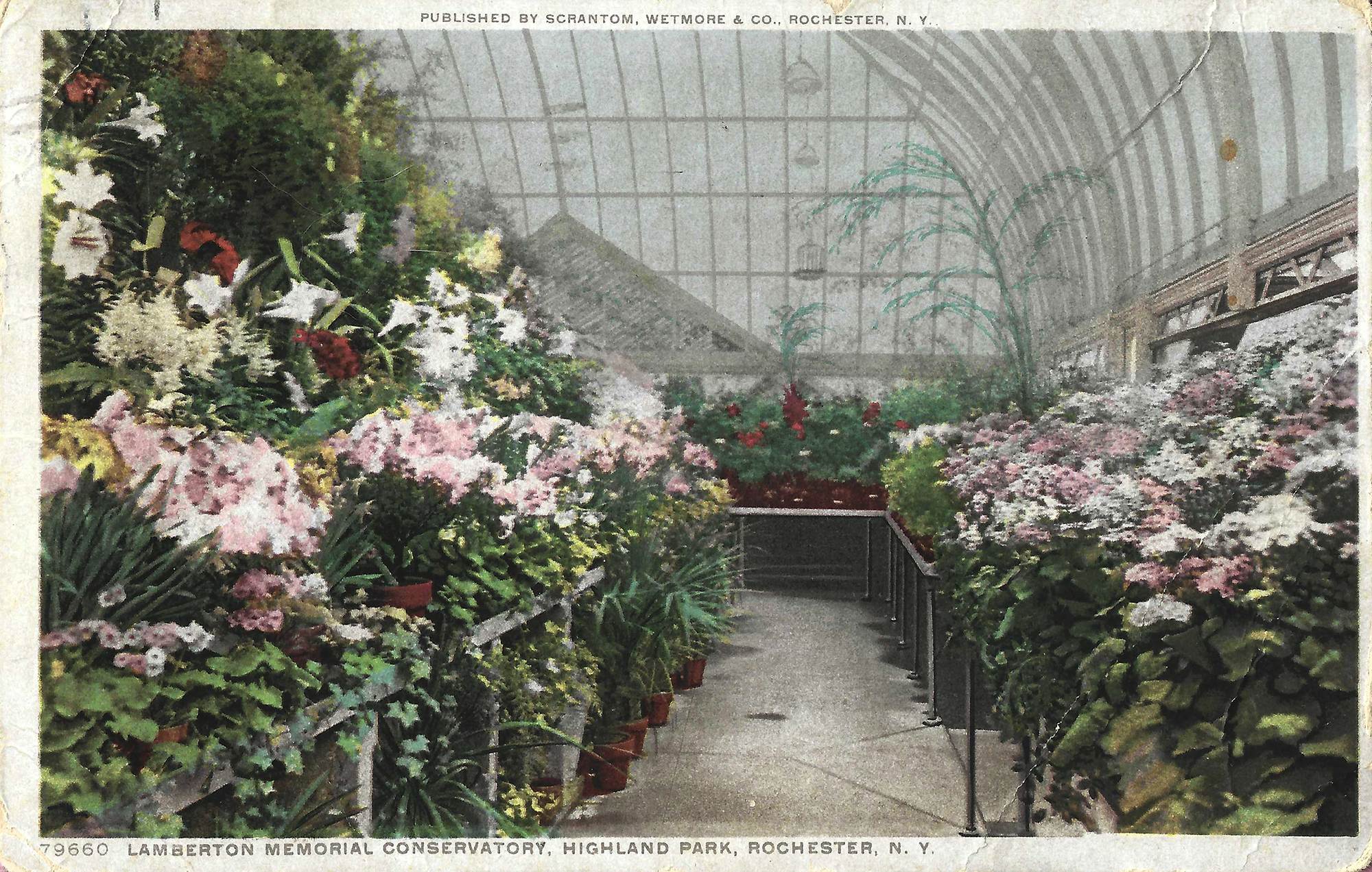 Lamberton Conservatory • c. 1915
