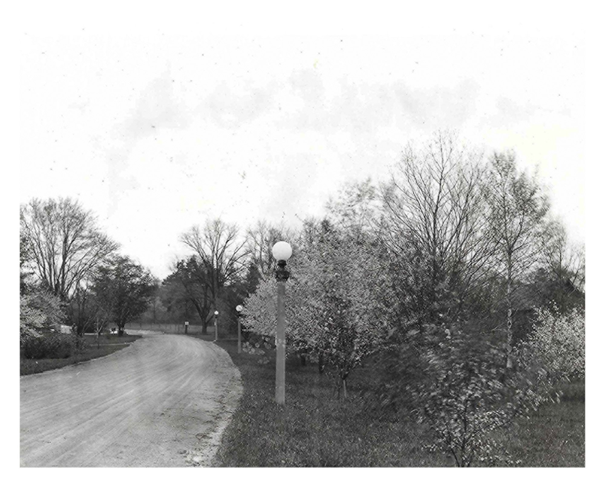 Park Road Extension