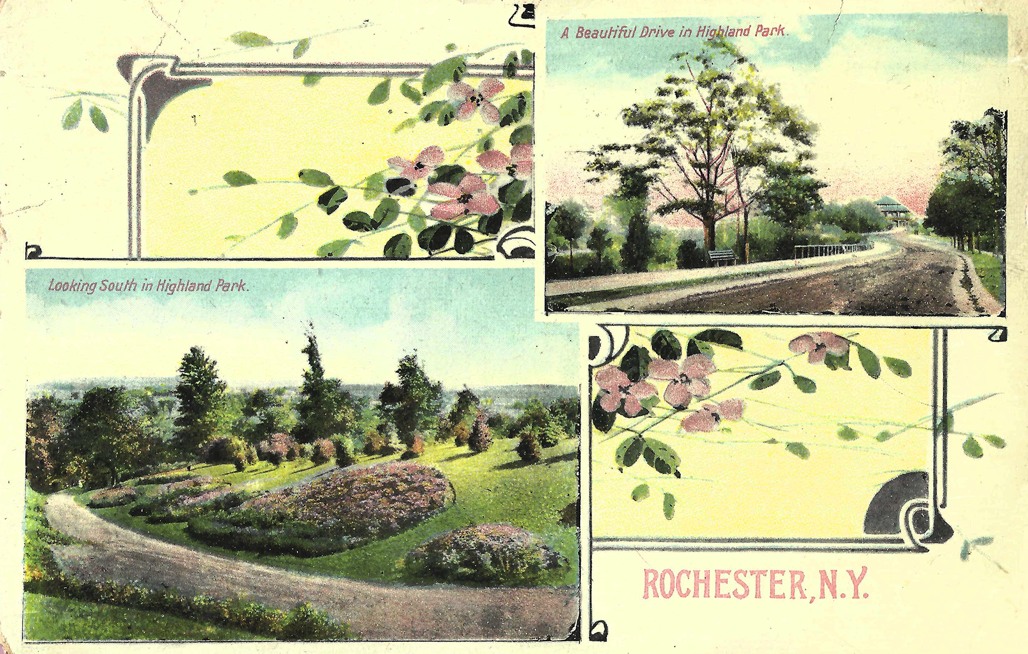 Lower Rhodie Valley • c. 1910 