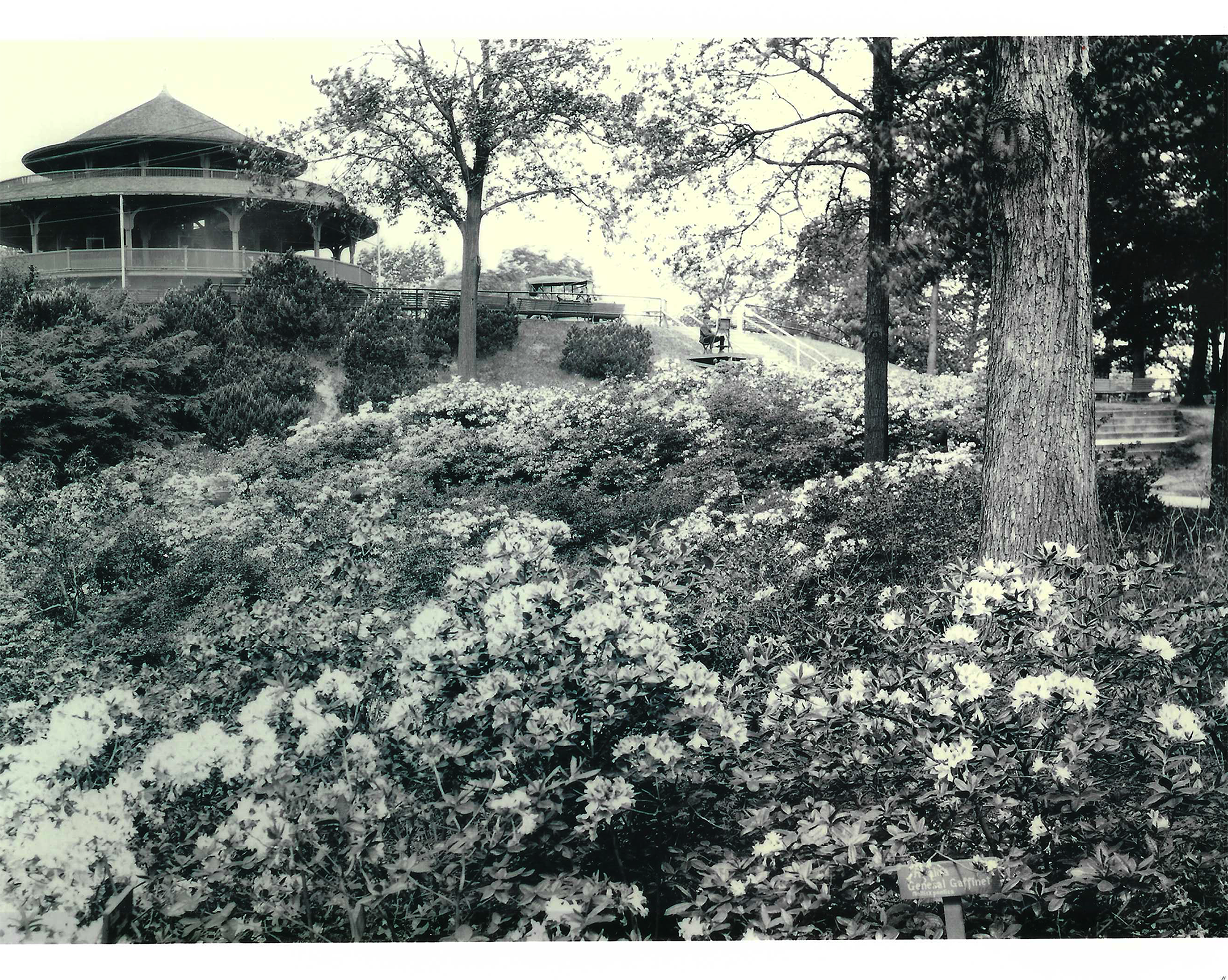 Lower Rhodie  Valley