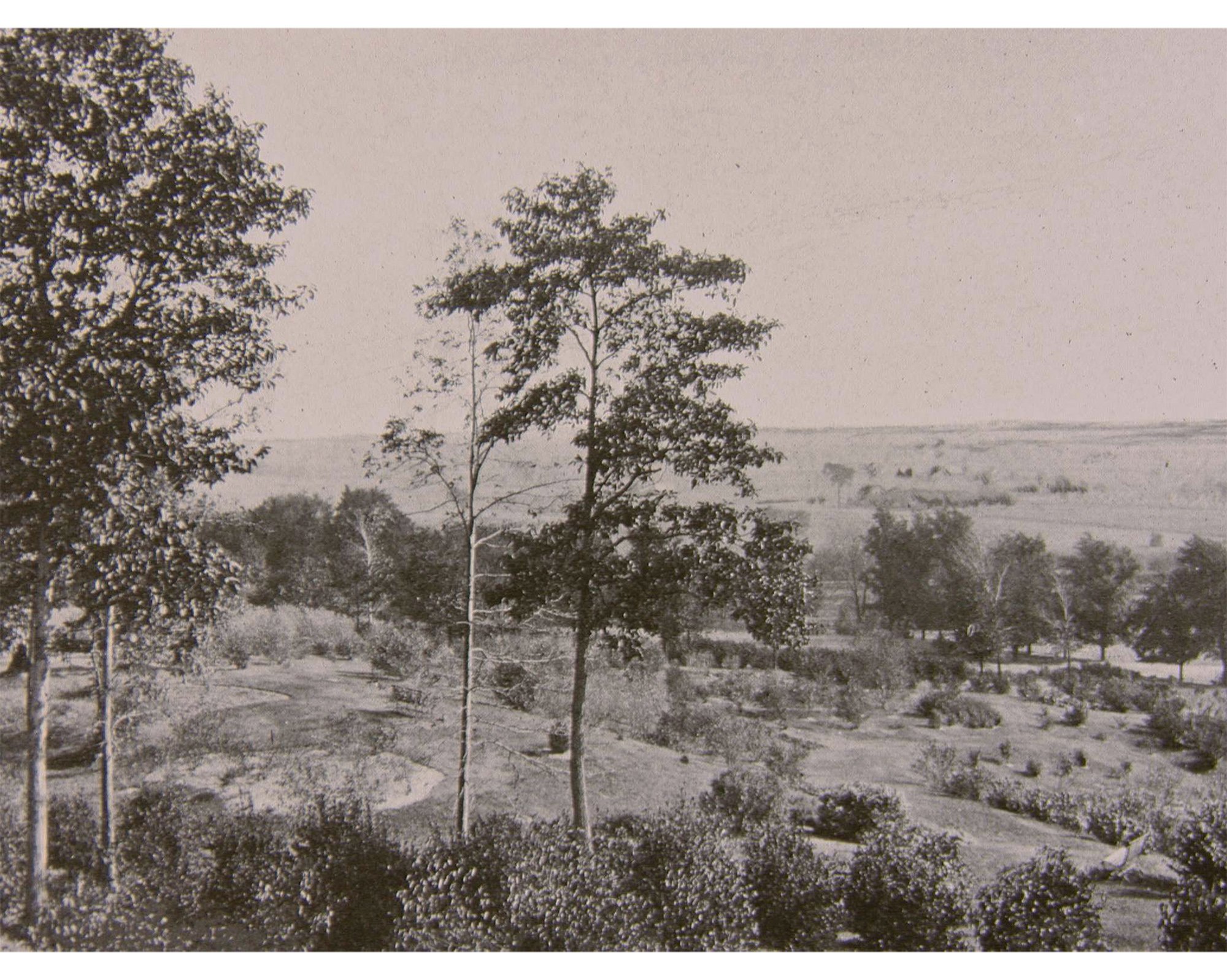 South Slope