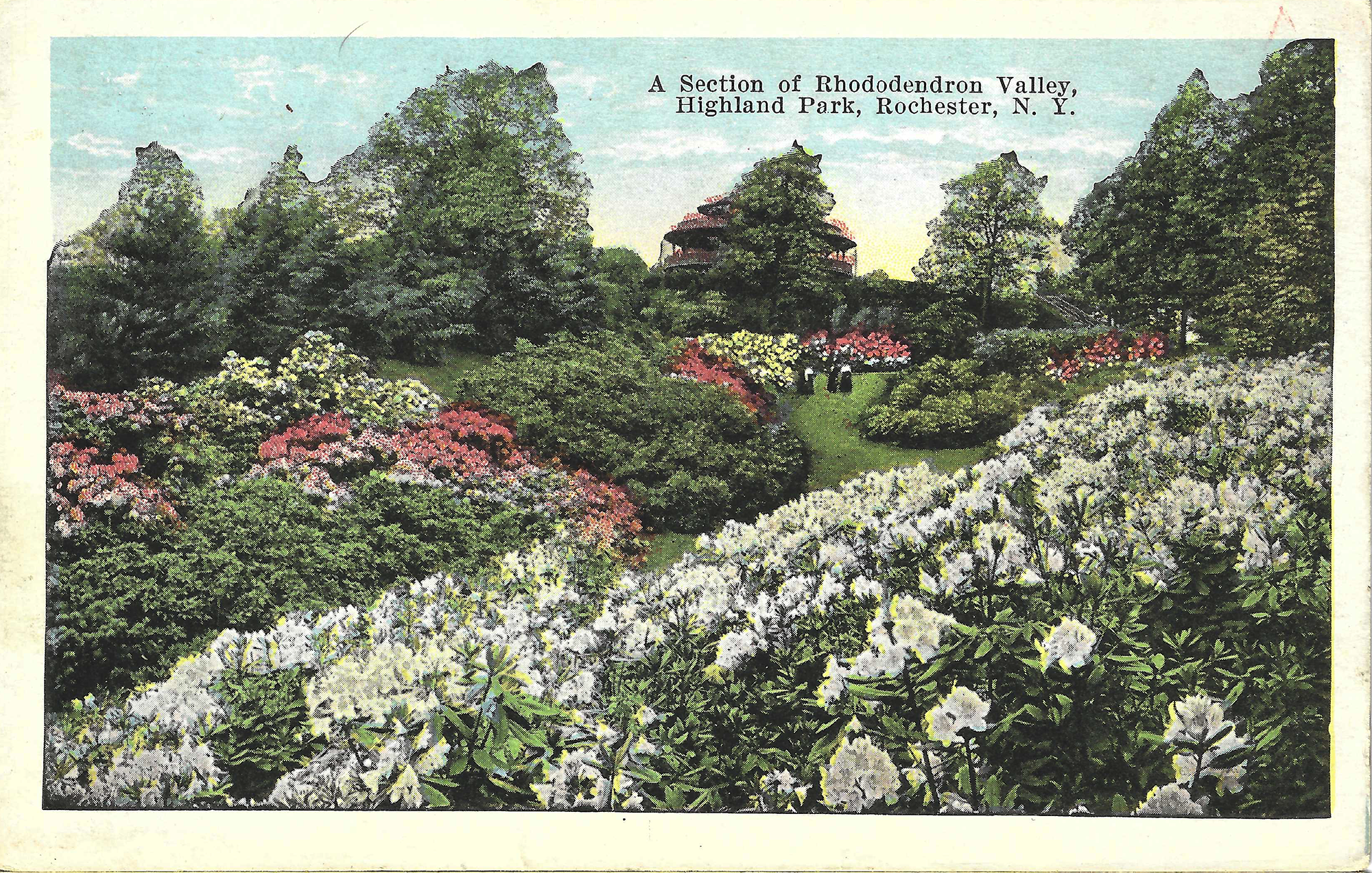 Lower Rhodie Valley • c. 1928